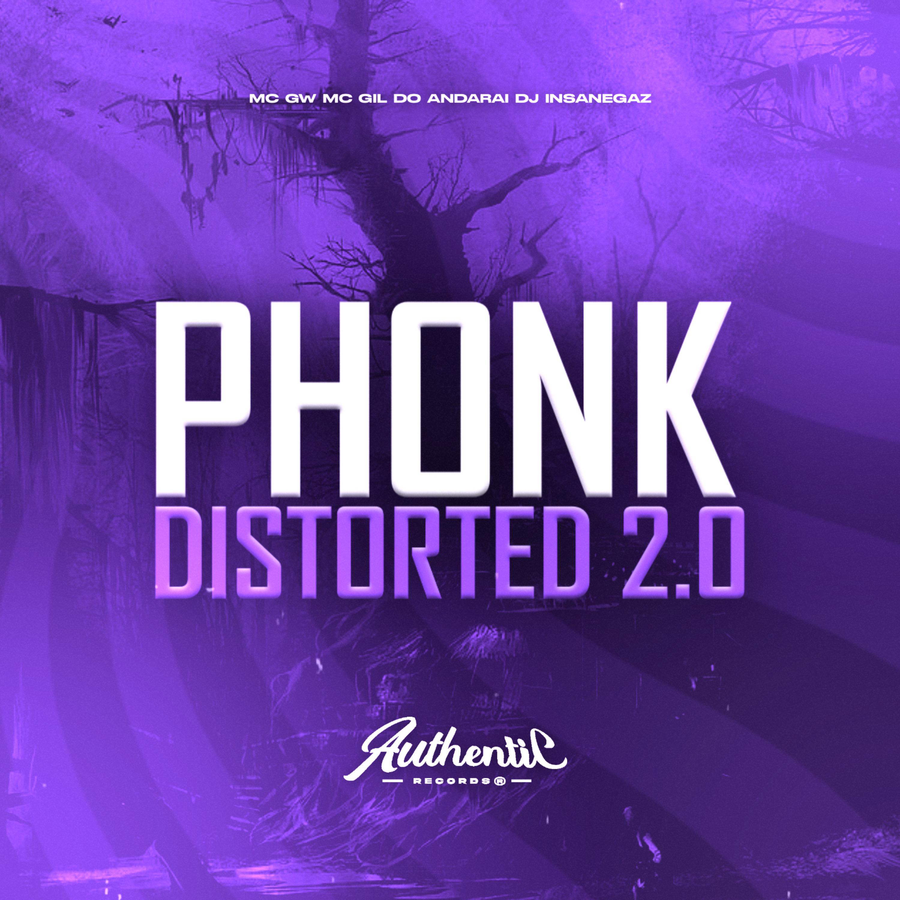 Постер альбома Phonk Distorted 2.0