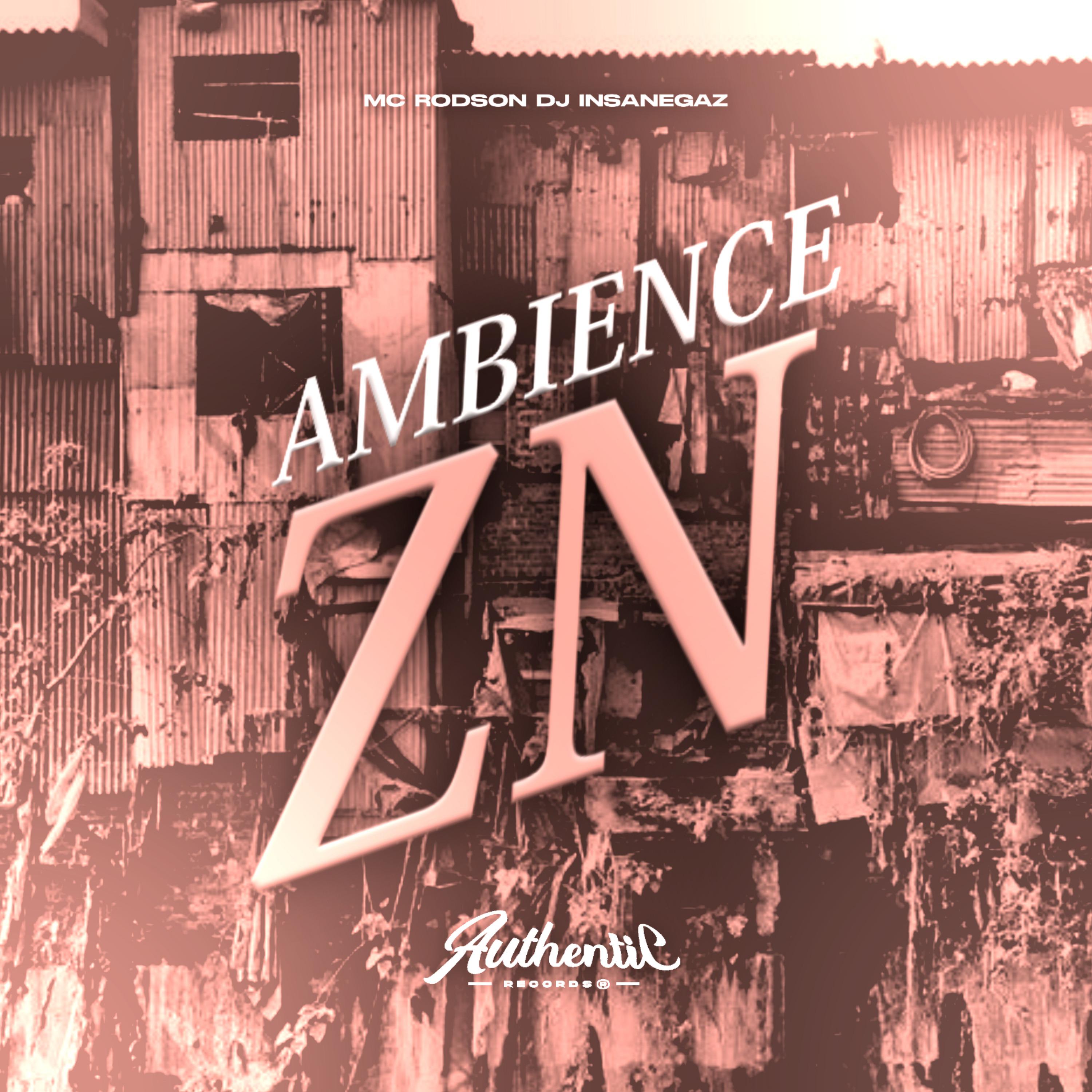 Постер альбома Ambience Zn