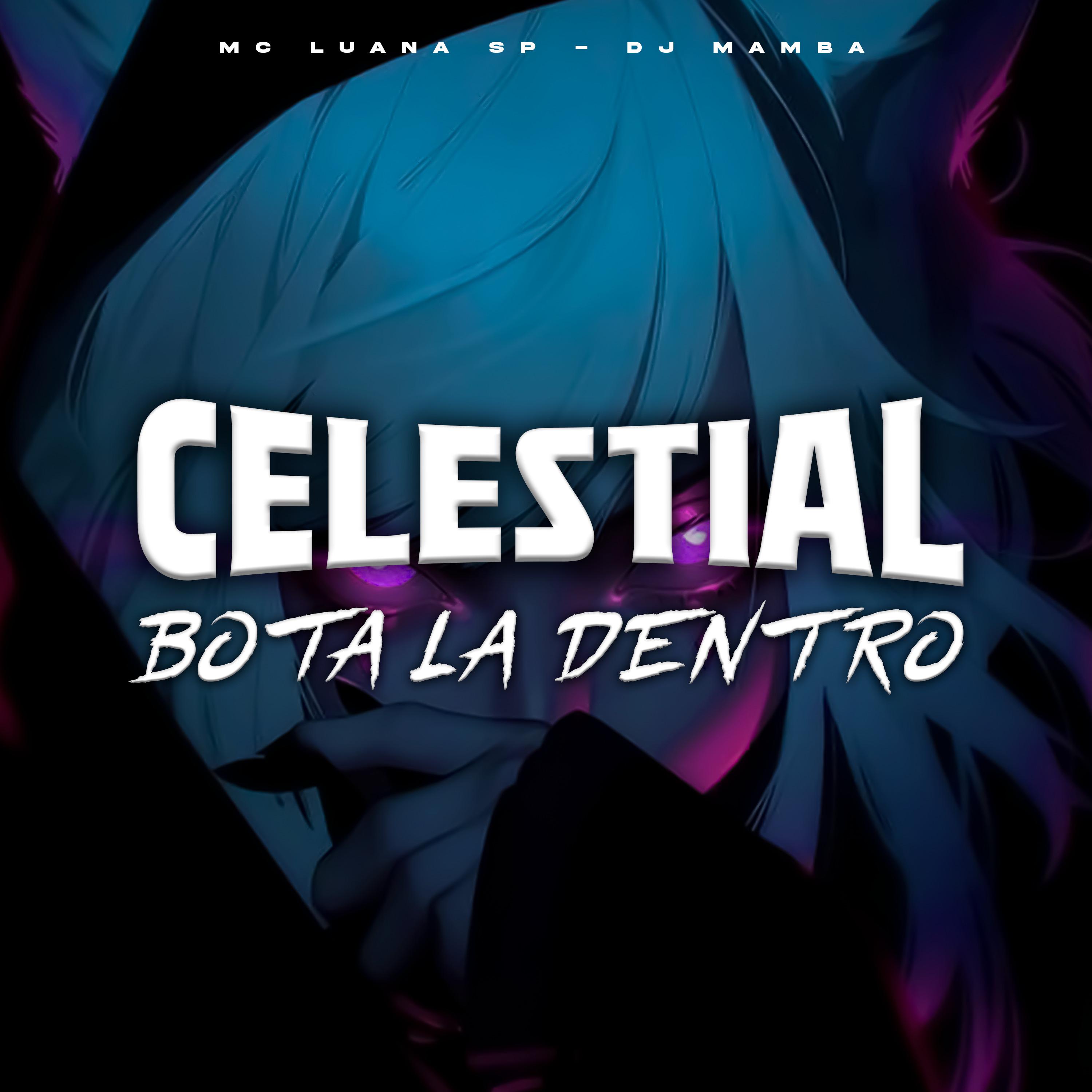 Постер альбома Celestial Bota La Dentro