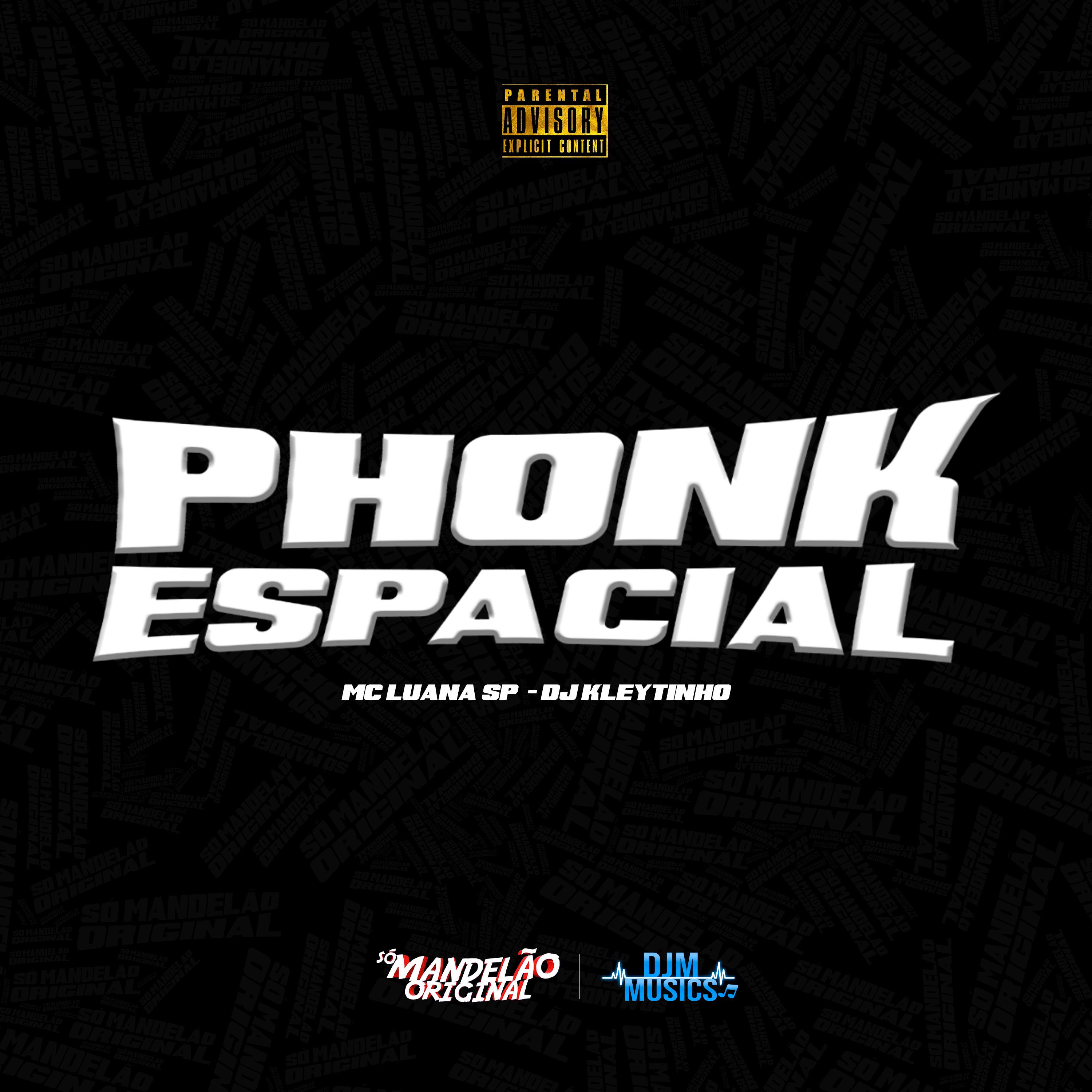 Постер альбома Phonk Espacial