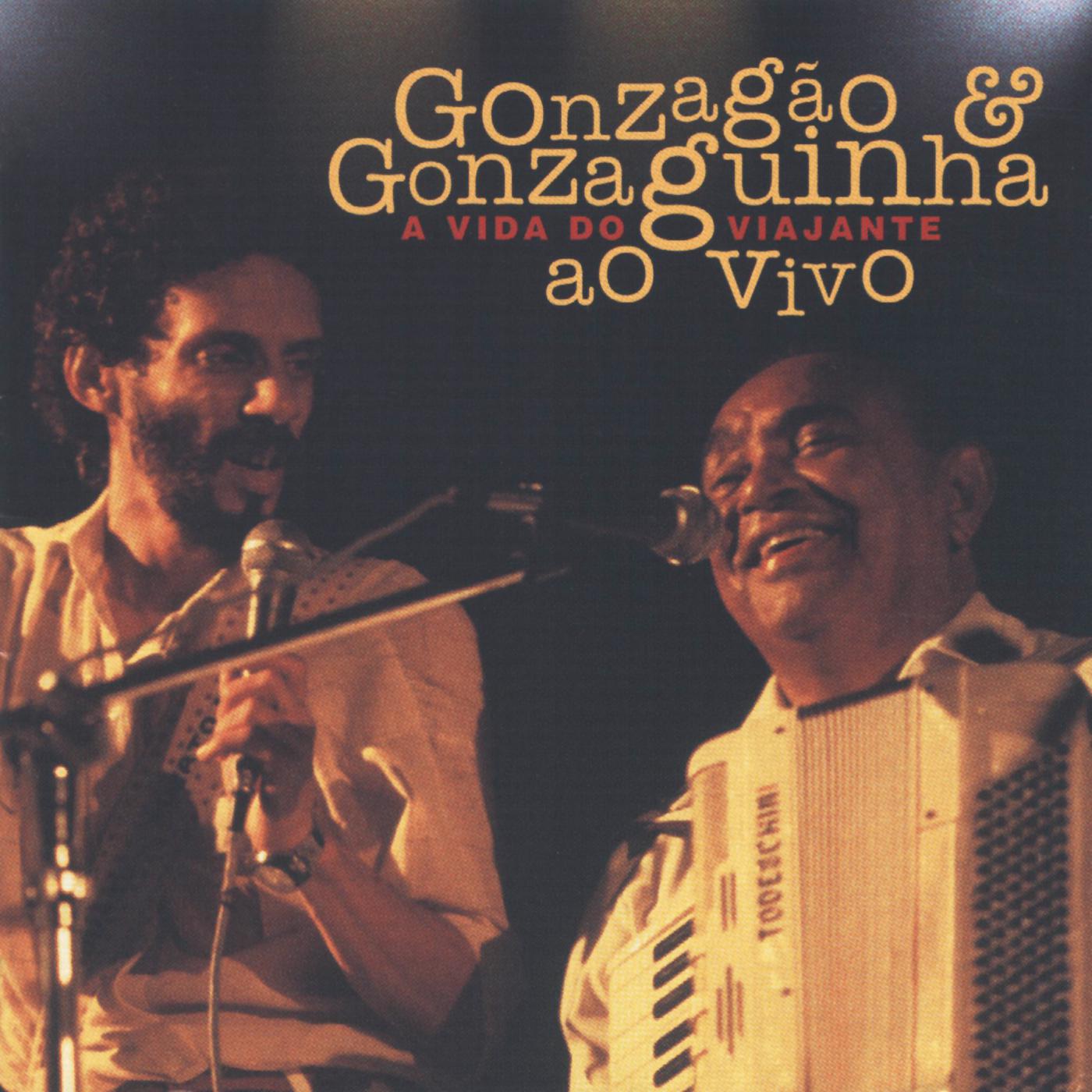 Gonzaguinha - Começaria Tudo Outra Vez