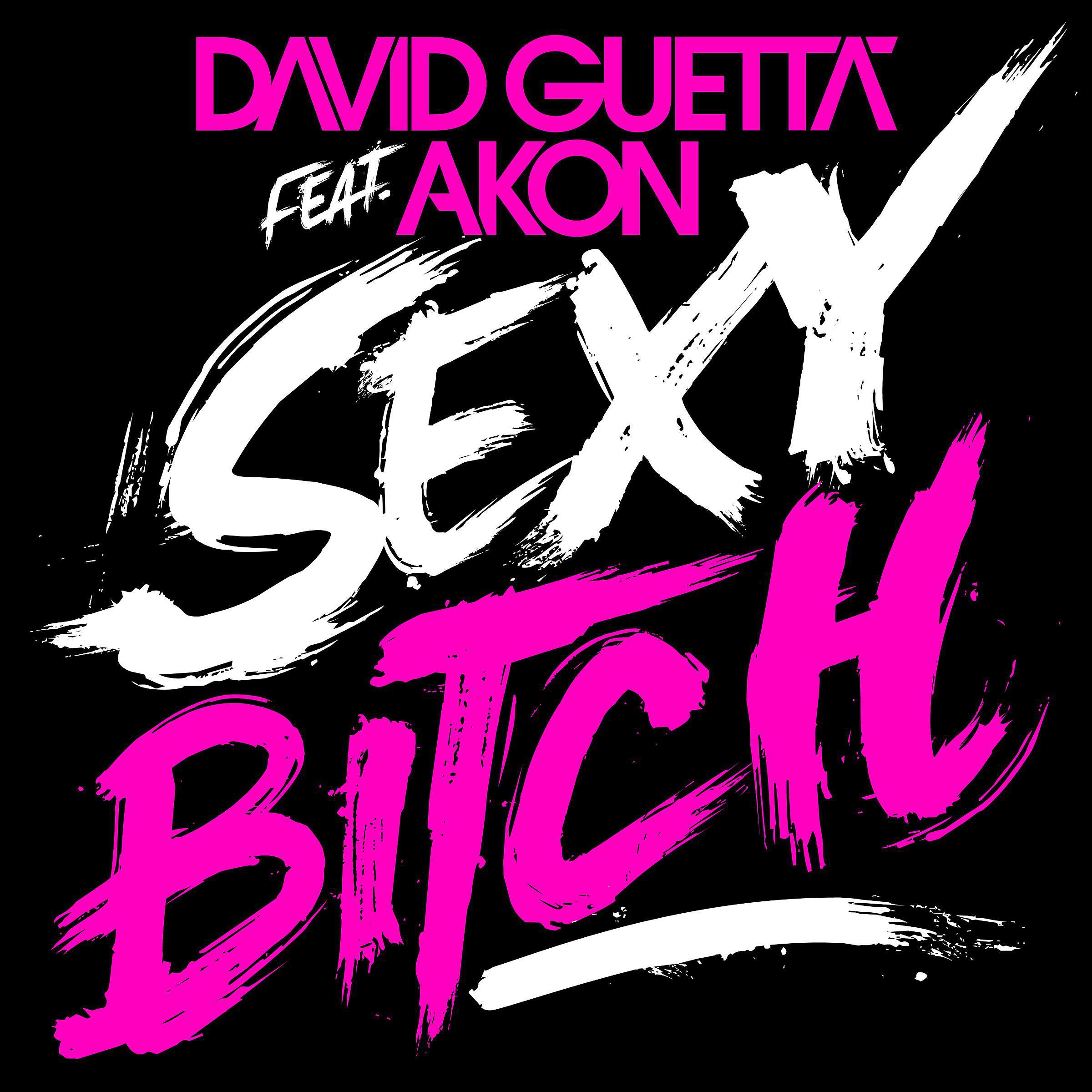 David Guetta - Sexy Bitch (feat. Akon) [Koen Groeneveld Remix] (David Guetta Vocal Re-Edit)