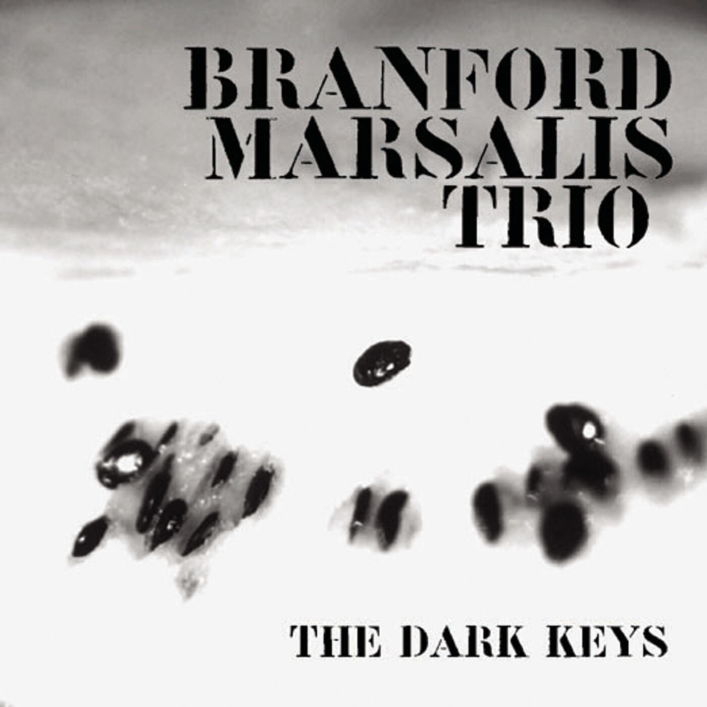 Branford Marsalis - The Dark Keys (Album Version)