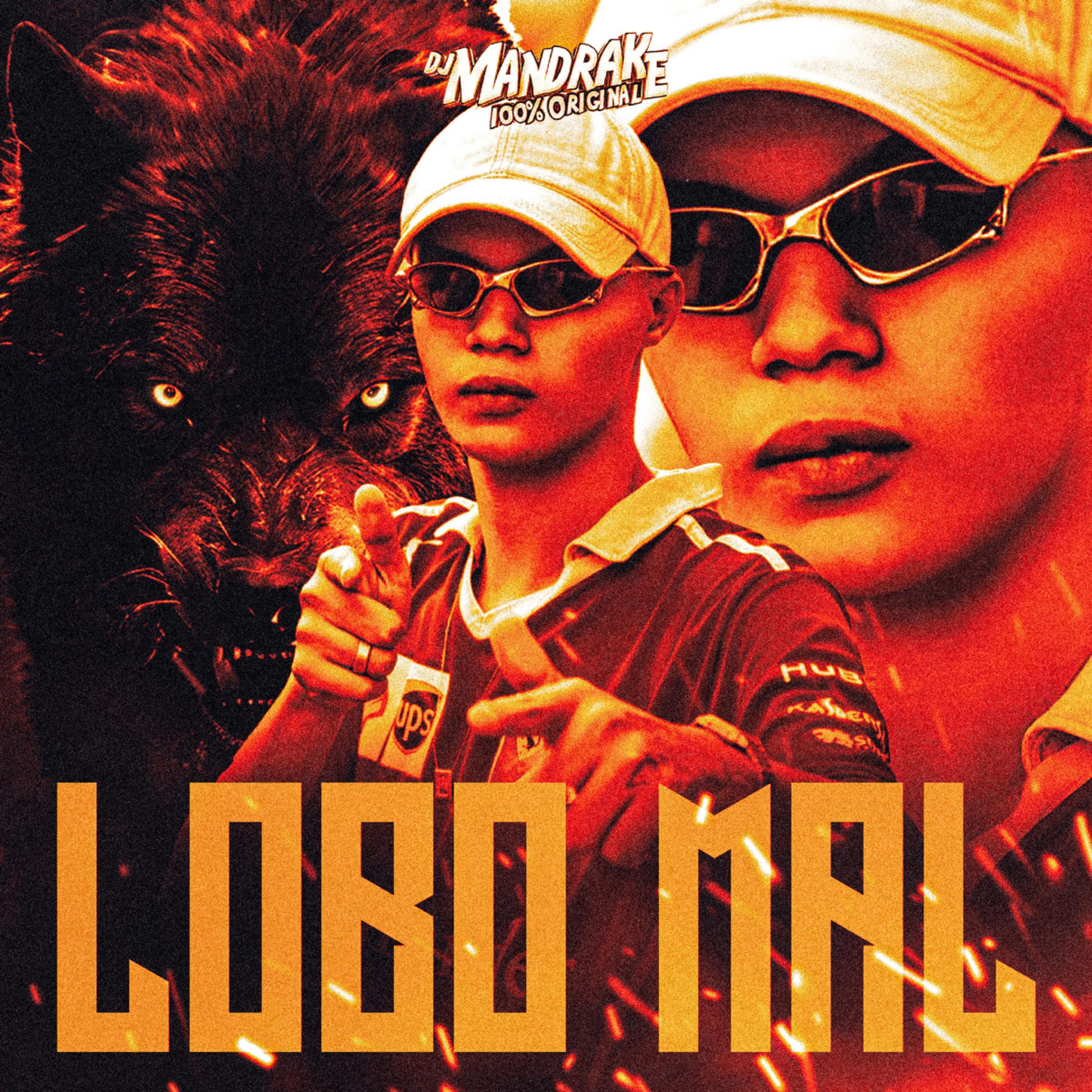 Постер альбома Lobo Mal