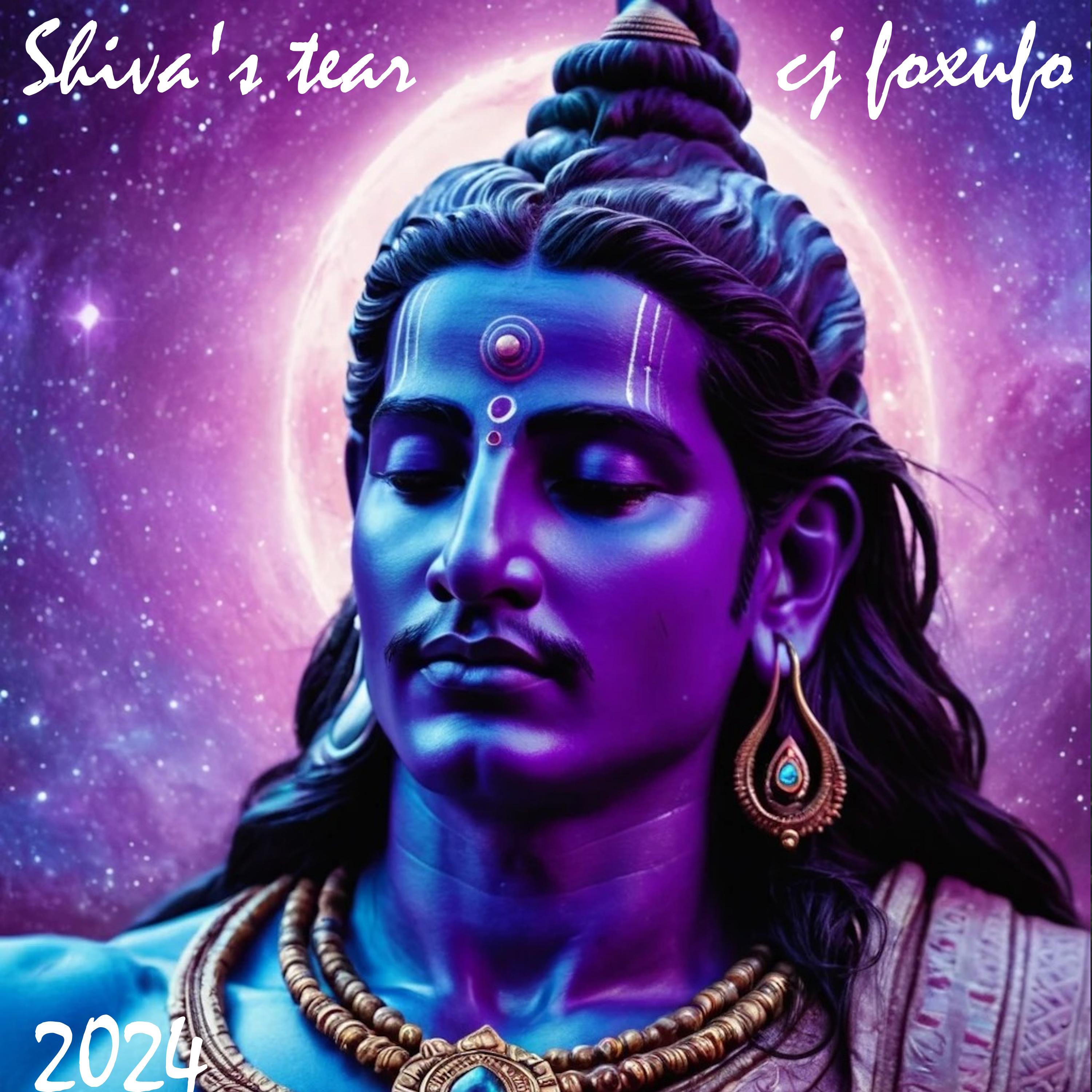 Постер альбома Shiva's Tear