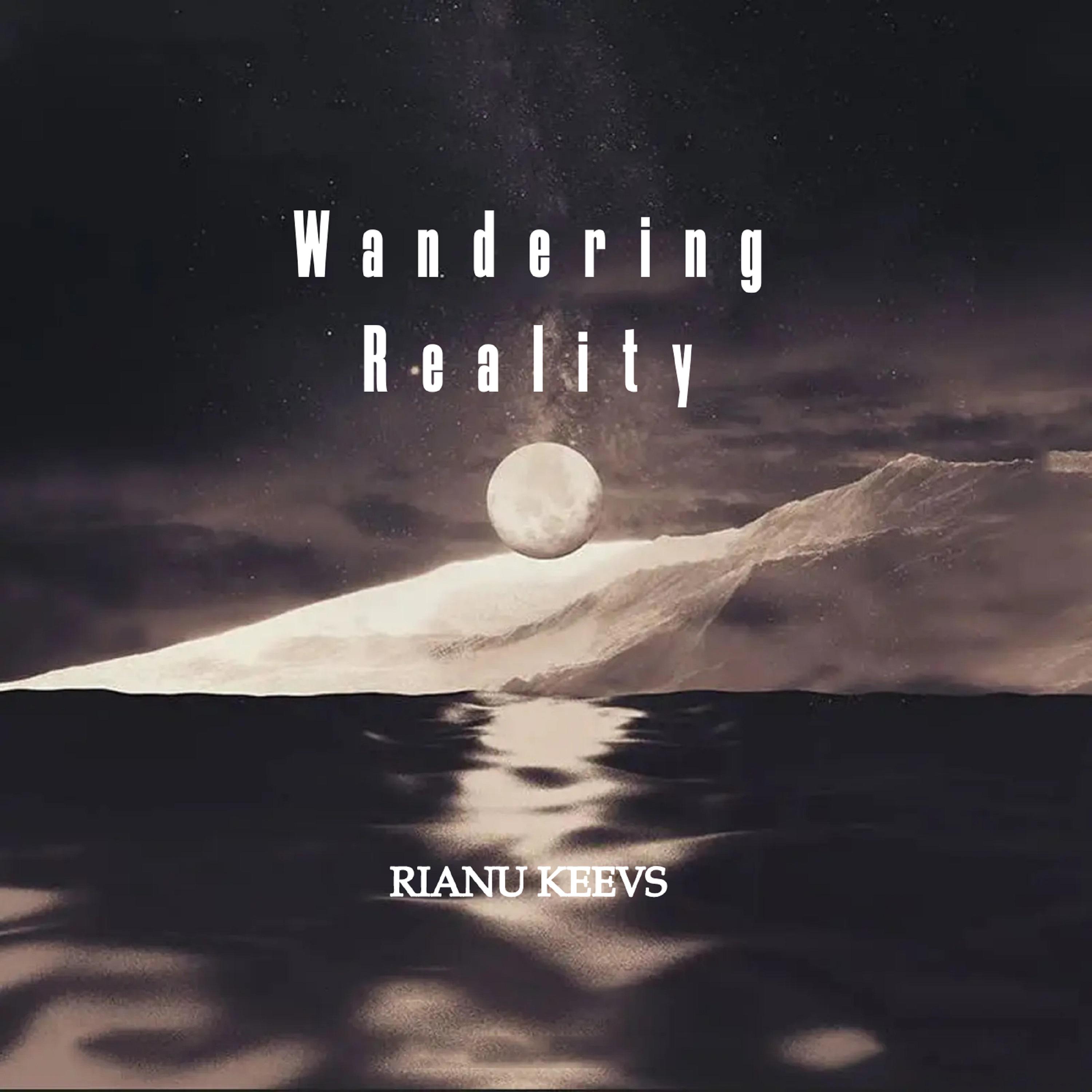 Постер альбома Wandering Reality
