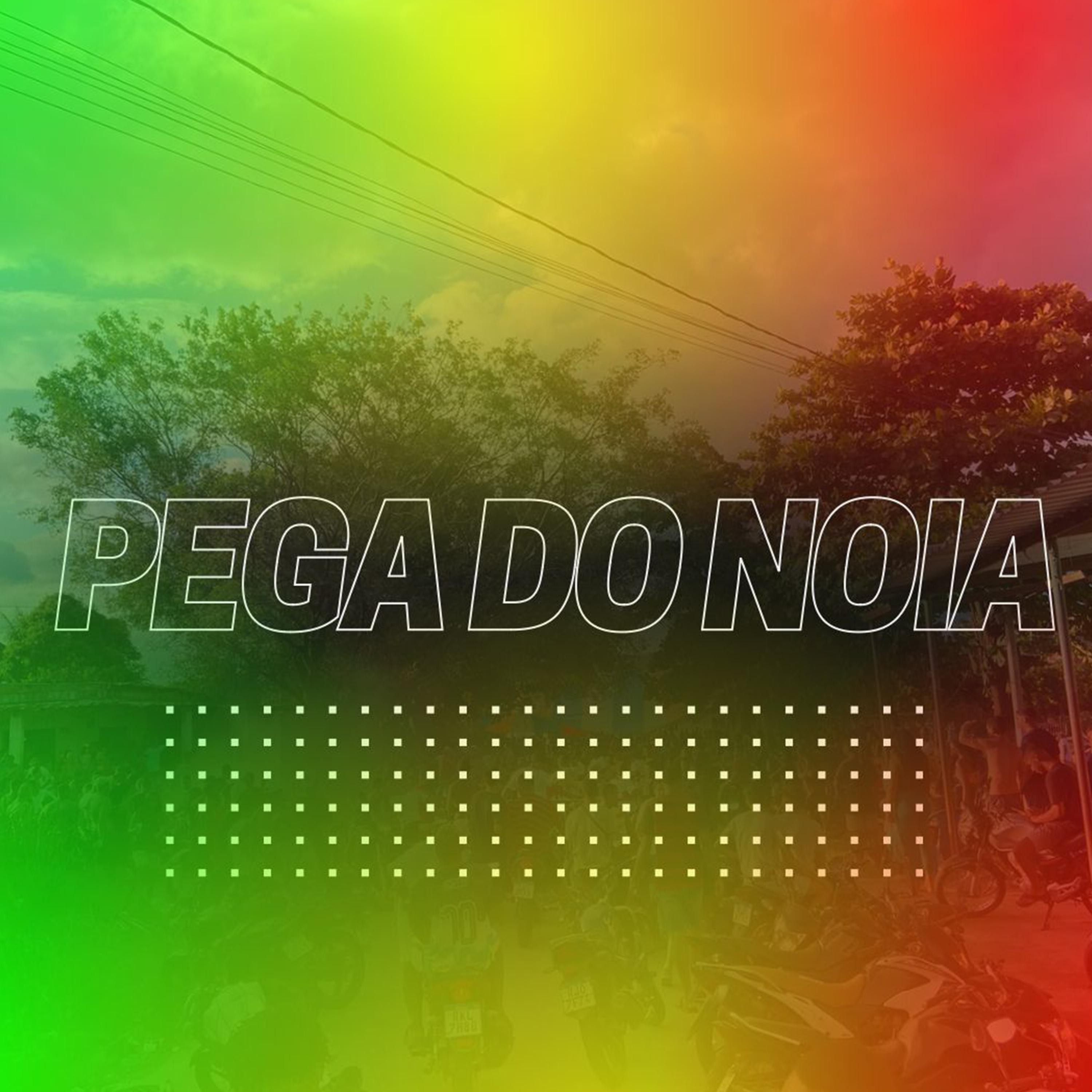 Постер альбома Pega do Noia