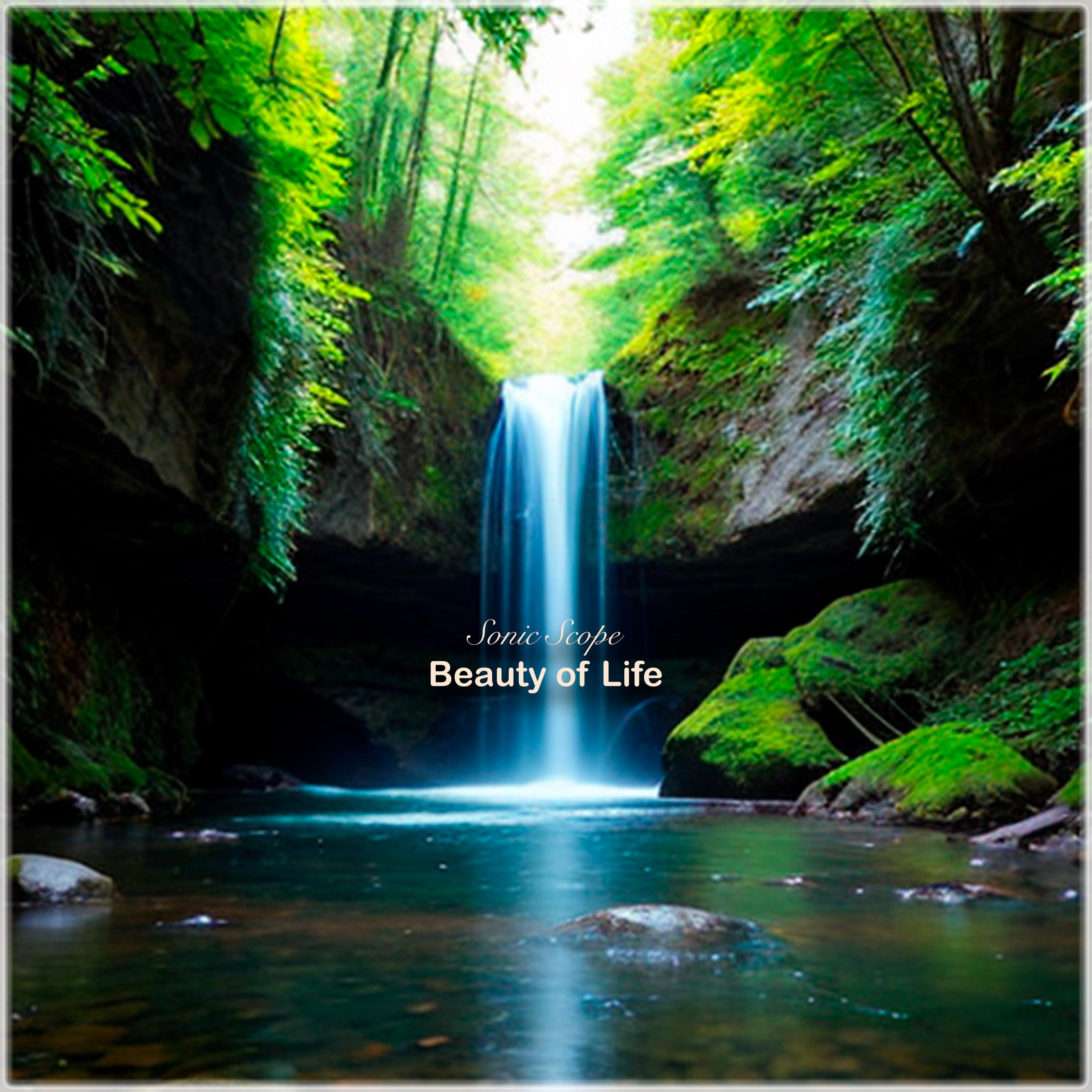 Постер альбома Beauty of Life