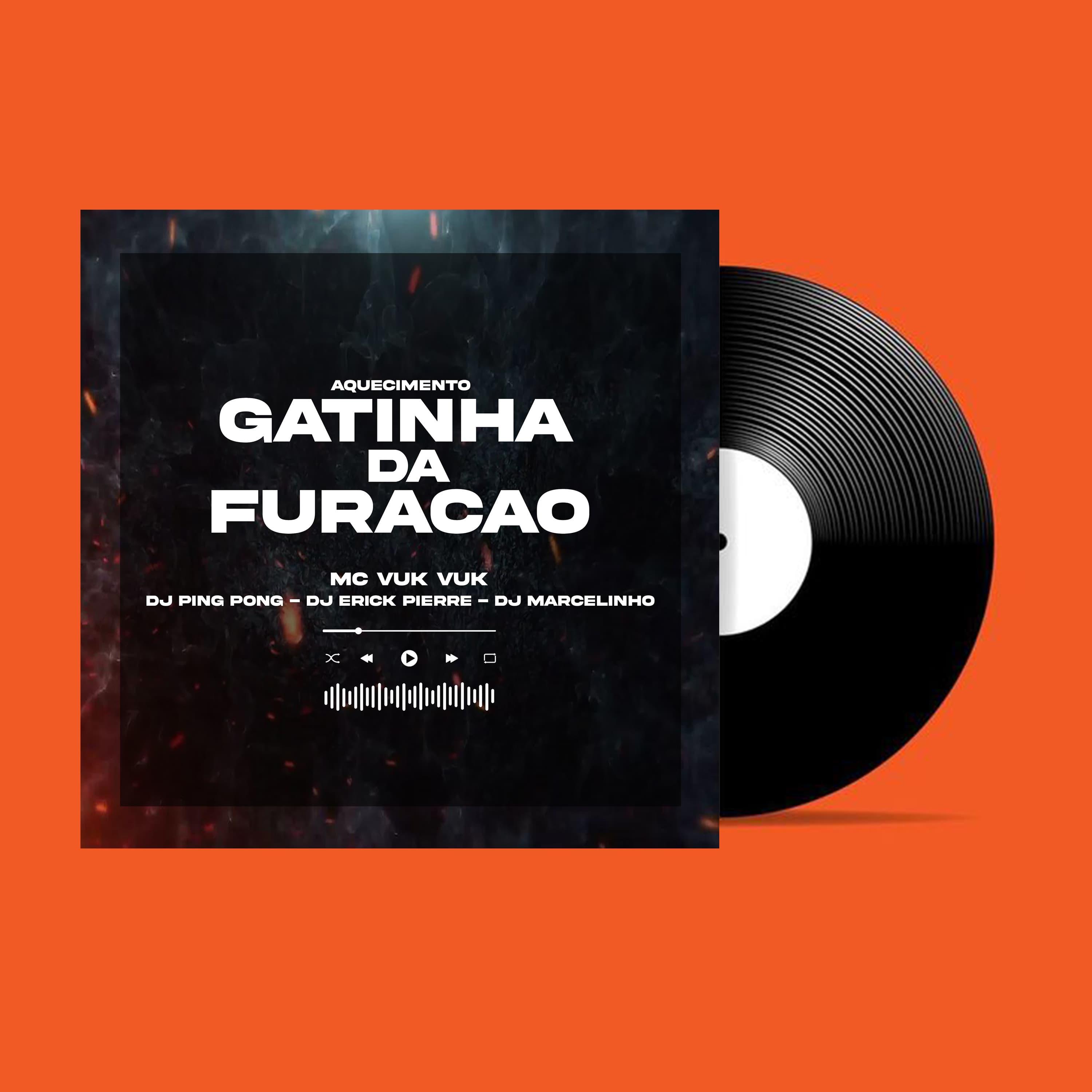 Постер альбома Aquecimento Gatinha da Furacão