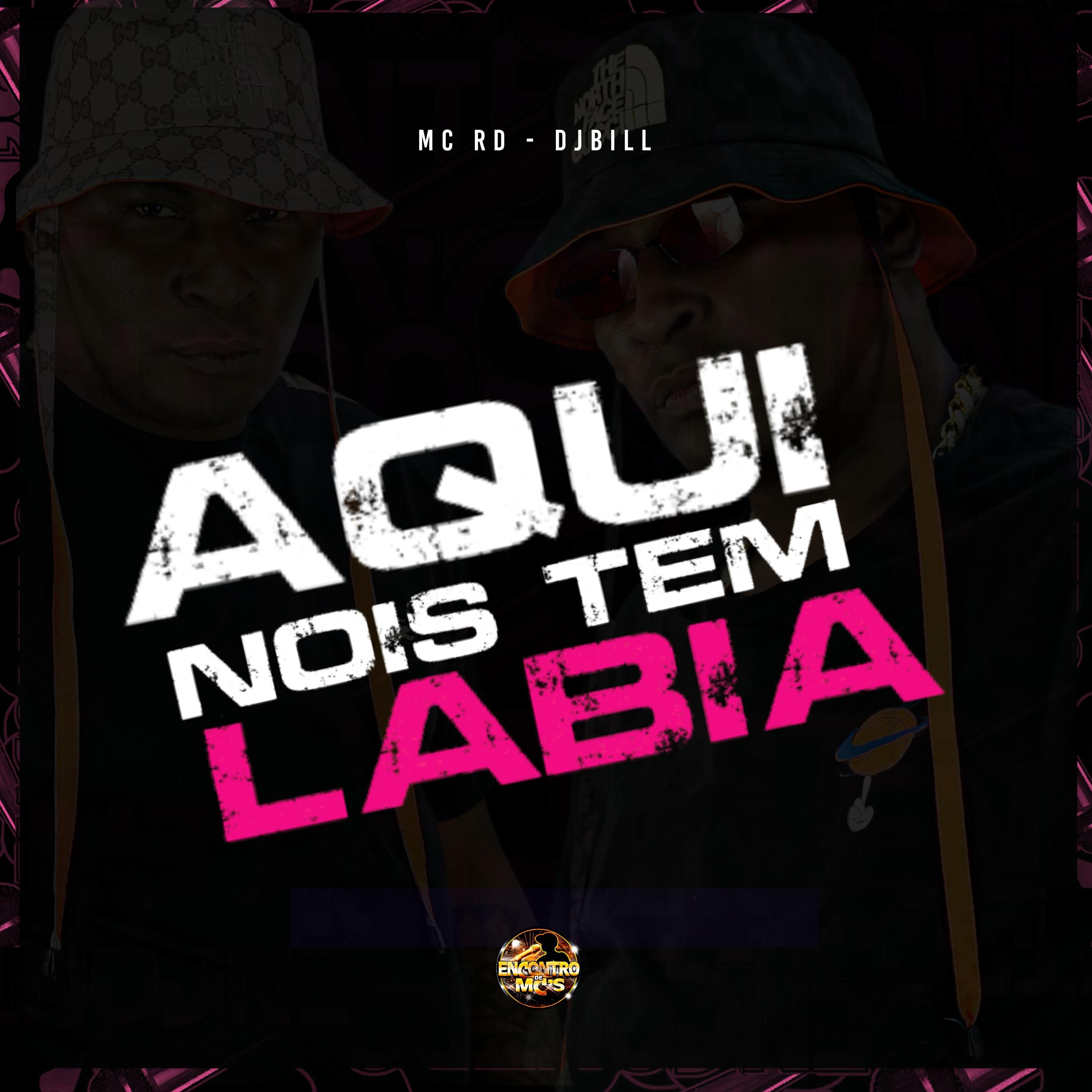Постер альбома Aqui Nois Tem Labia