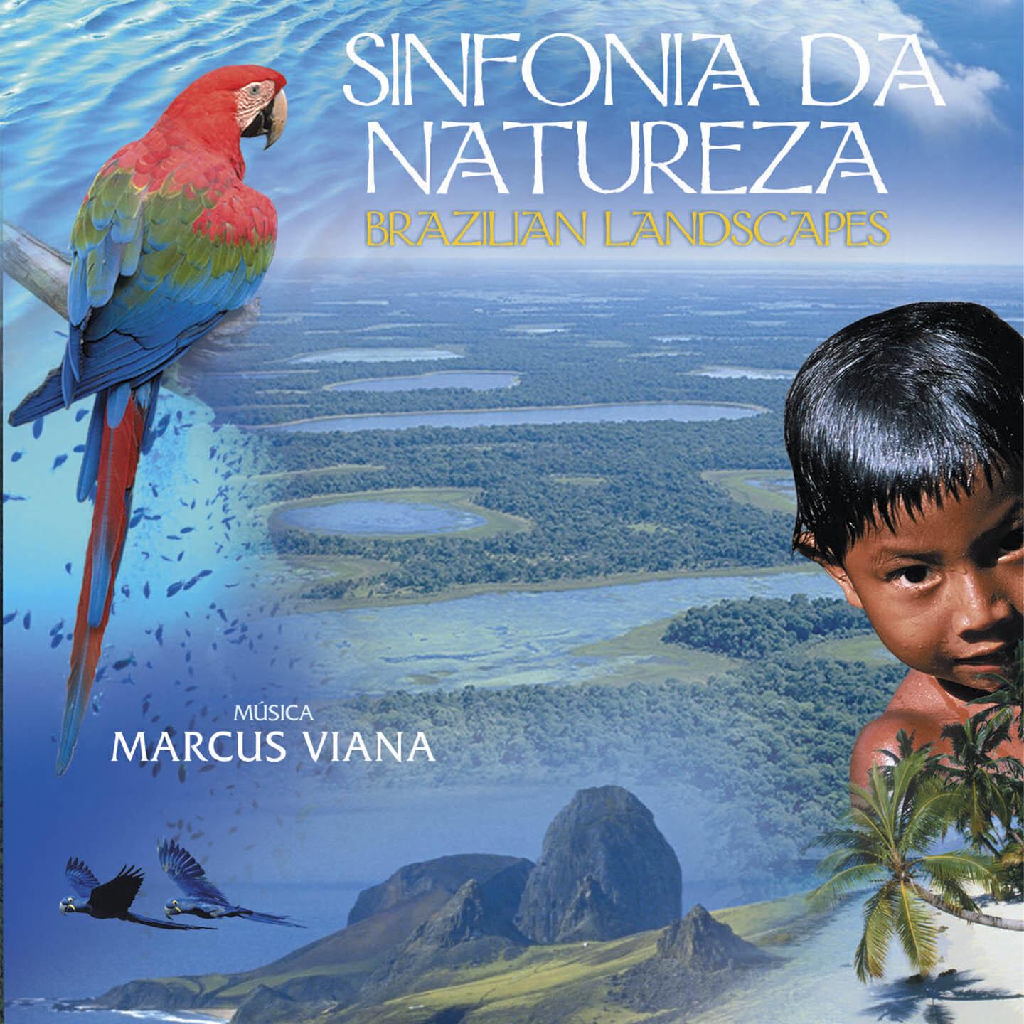 Marcus Viana - Despedida (Rios do Pantanal)