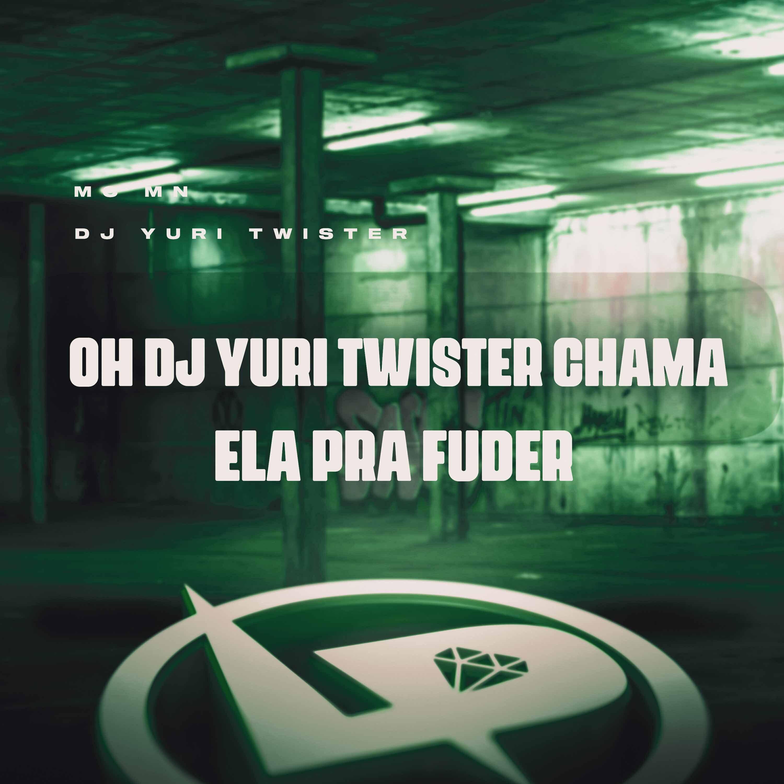 Постер альбома Oh Dj Yuri Twister Chama Ela pra Fuder