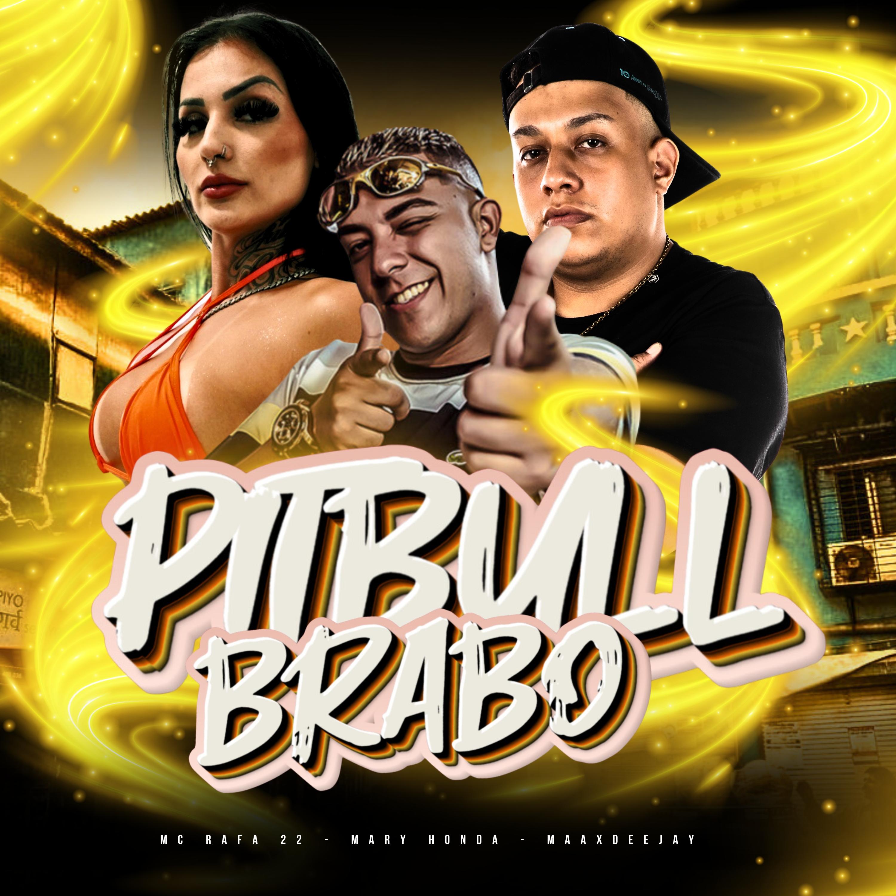 Постер альбома Pitbull Brabo