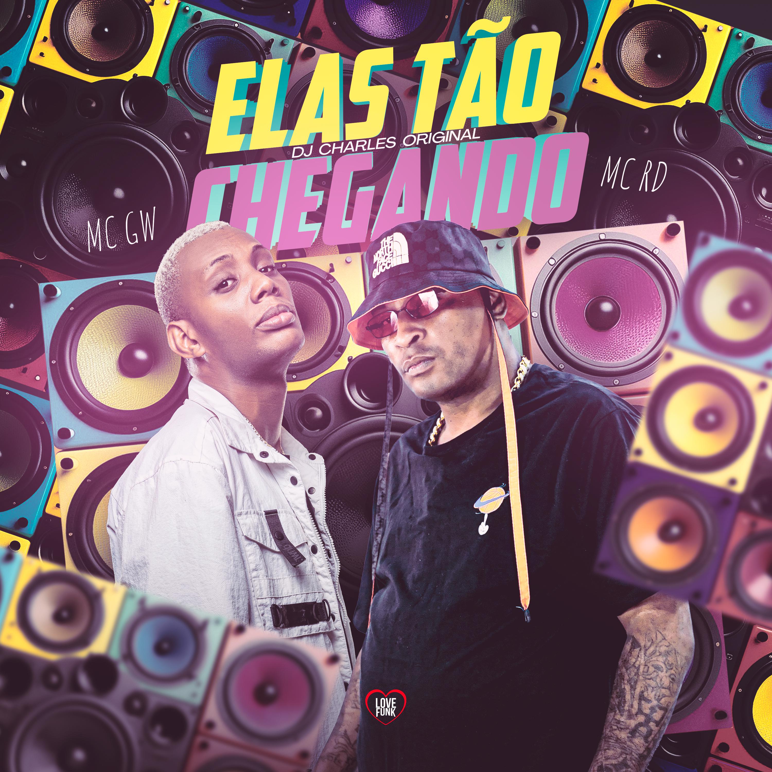 Постер альбома Elas Tão Chegando