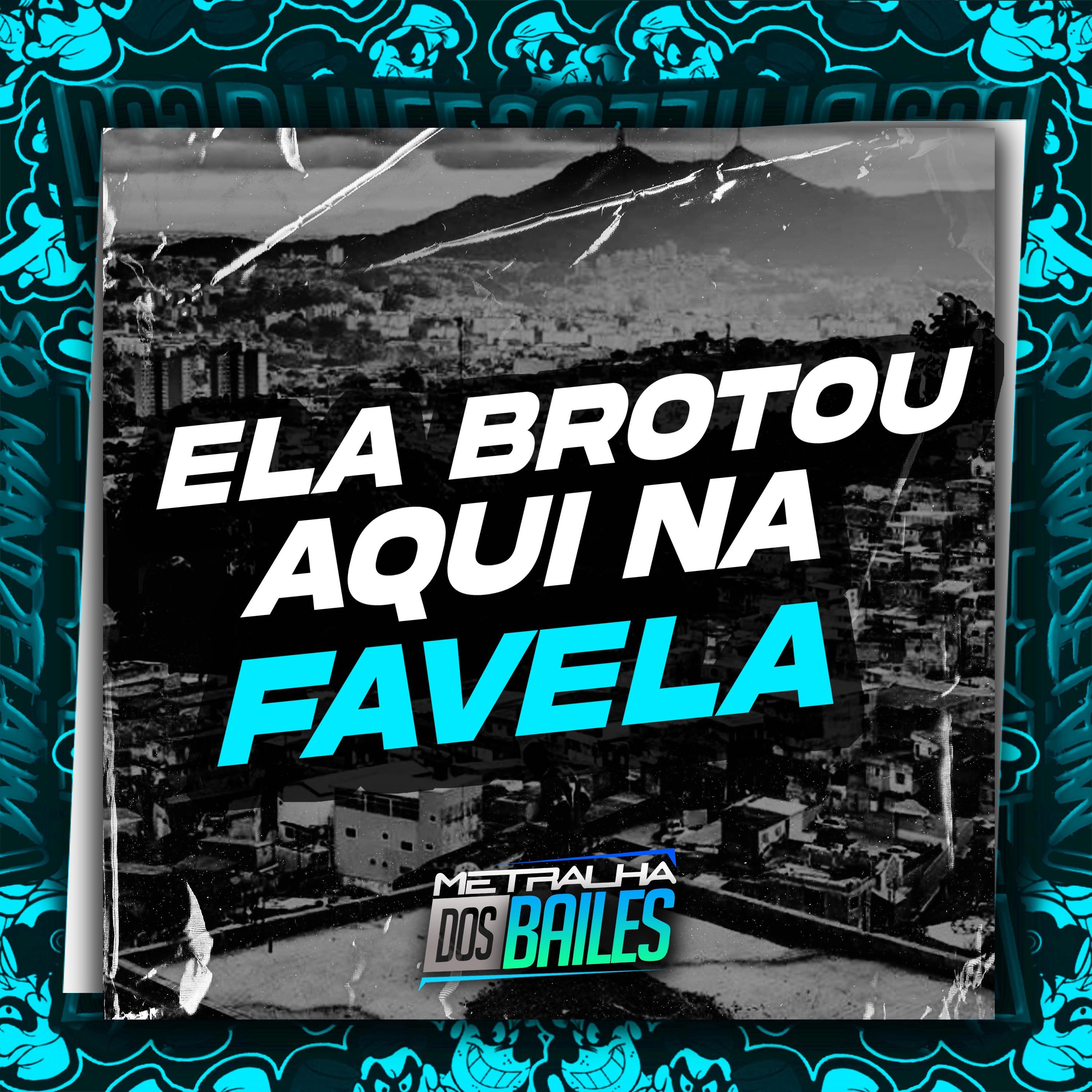Постер альбома Ela Brotou Aqui na Favela