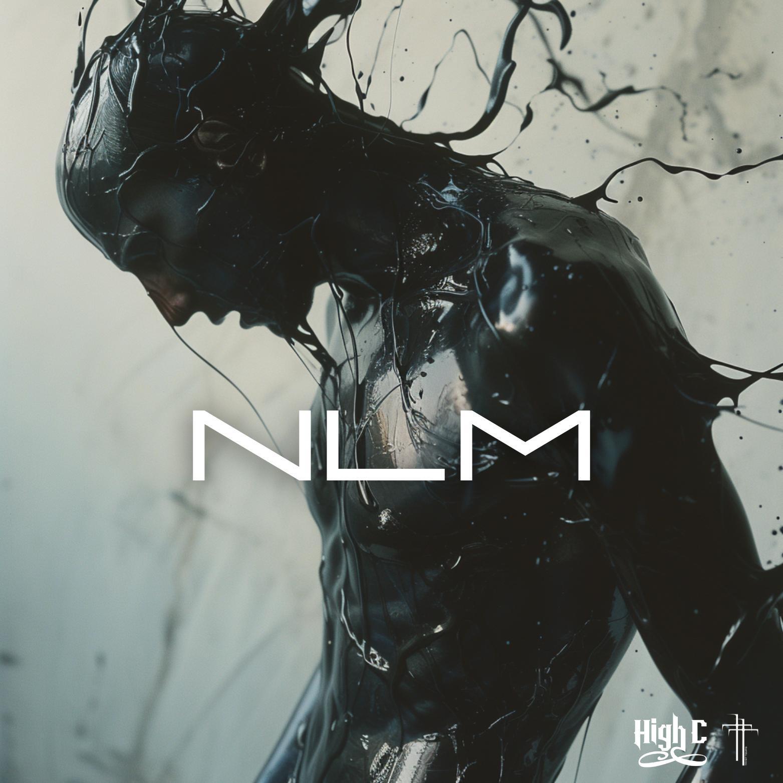 Постер альбома NLM (feat. Tryst Temps)