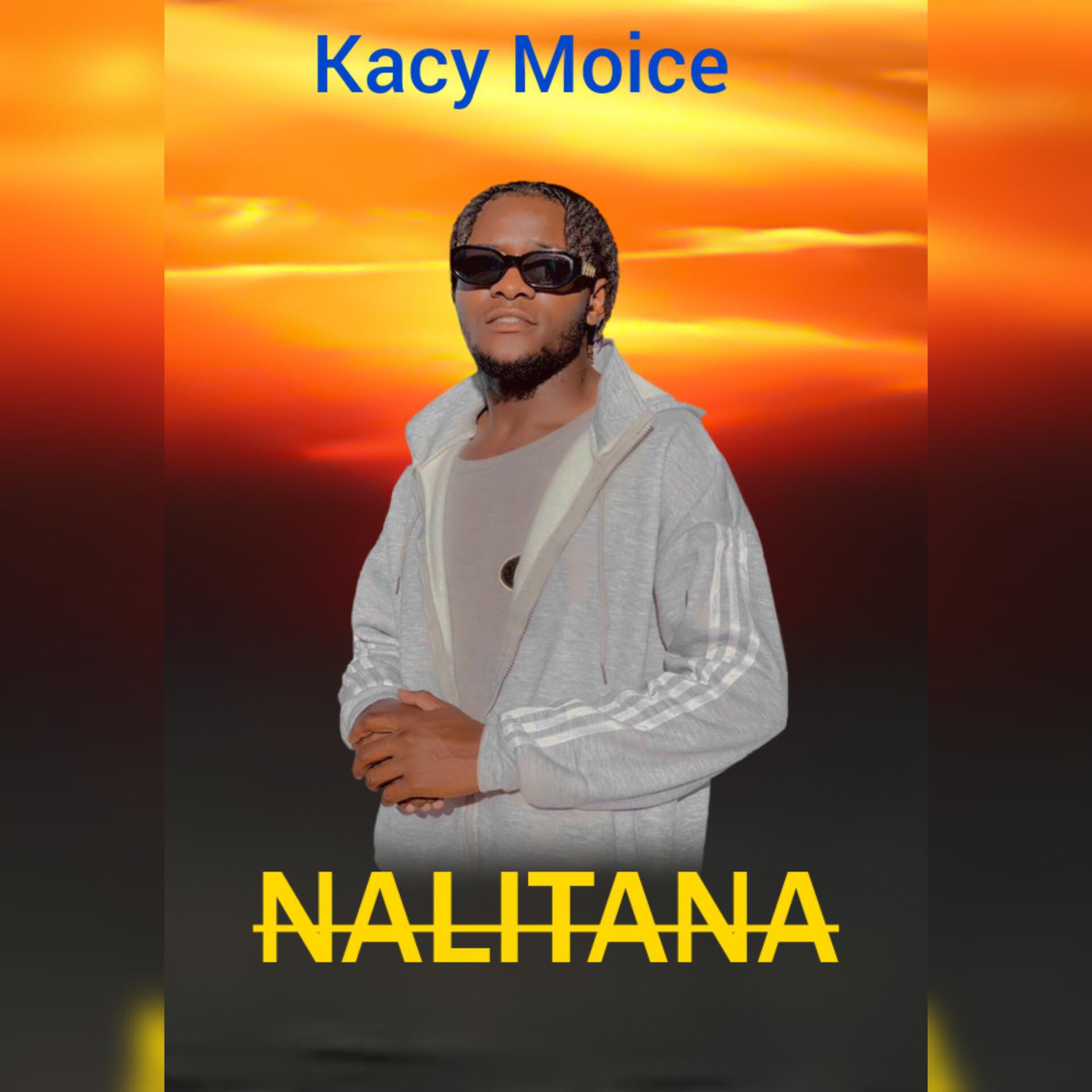 Постер альбома Nalitana