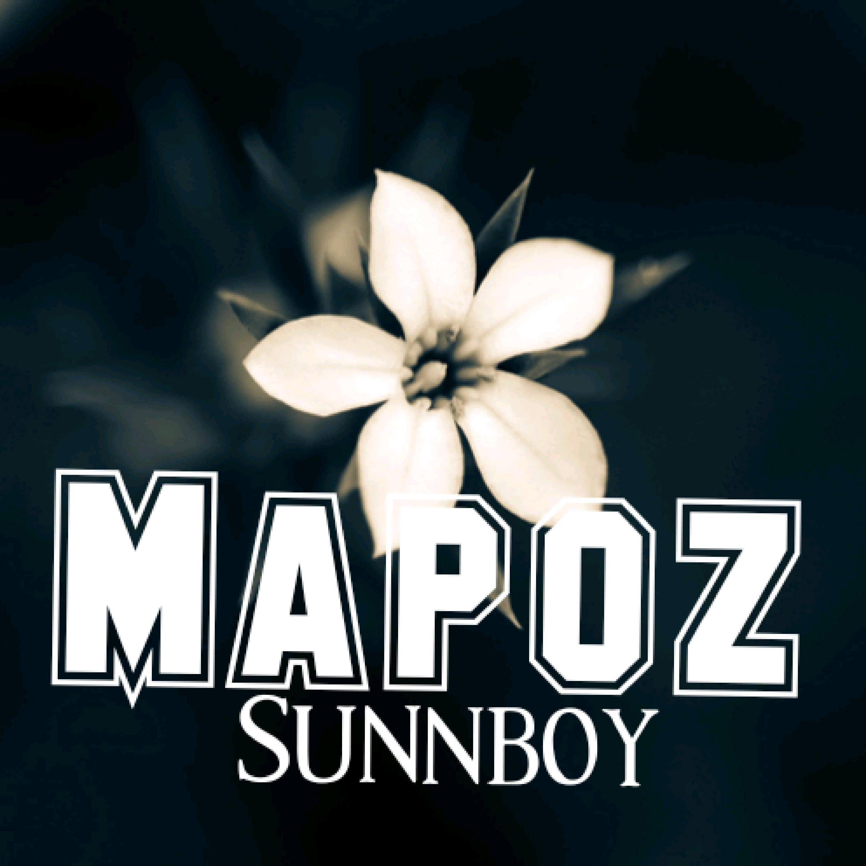 Постер альбома Mapoz (feat. Diamond platnumz,Jay melody & Rayan Vibez)