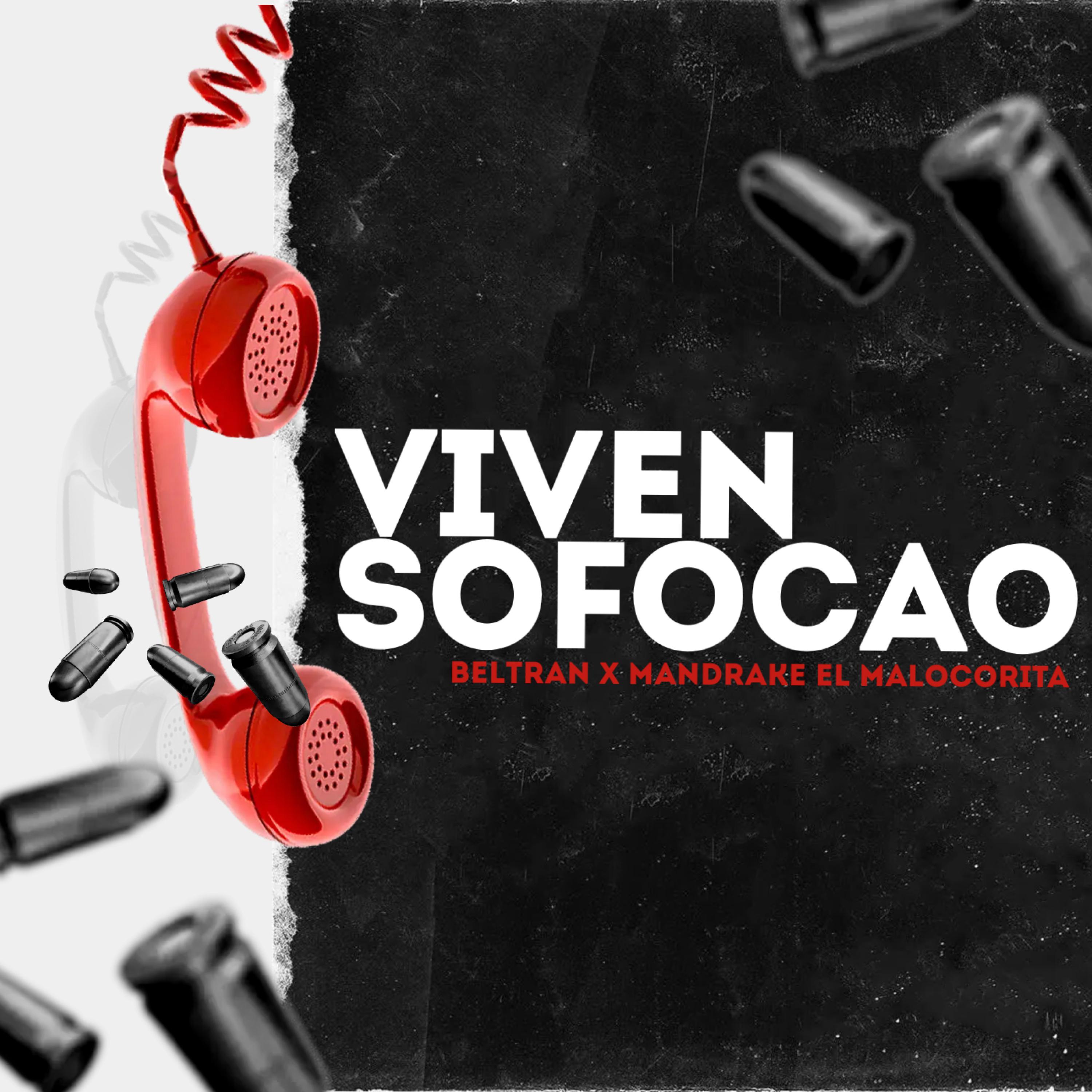 Постер альбома Viven Sofocao
