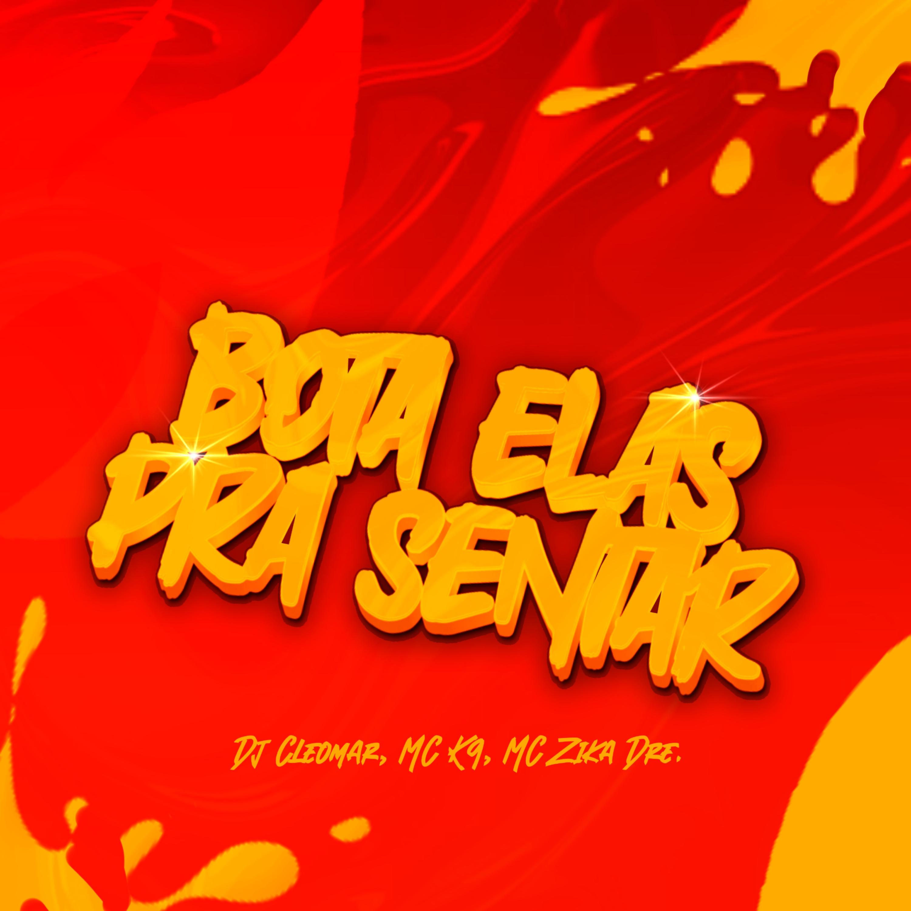 Постер альбома Bota Elas pra Sentar