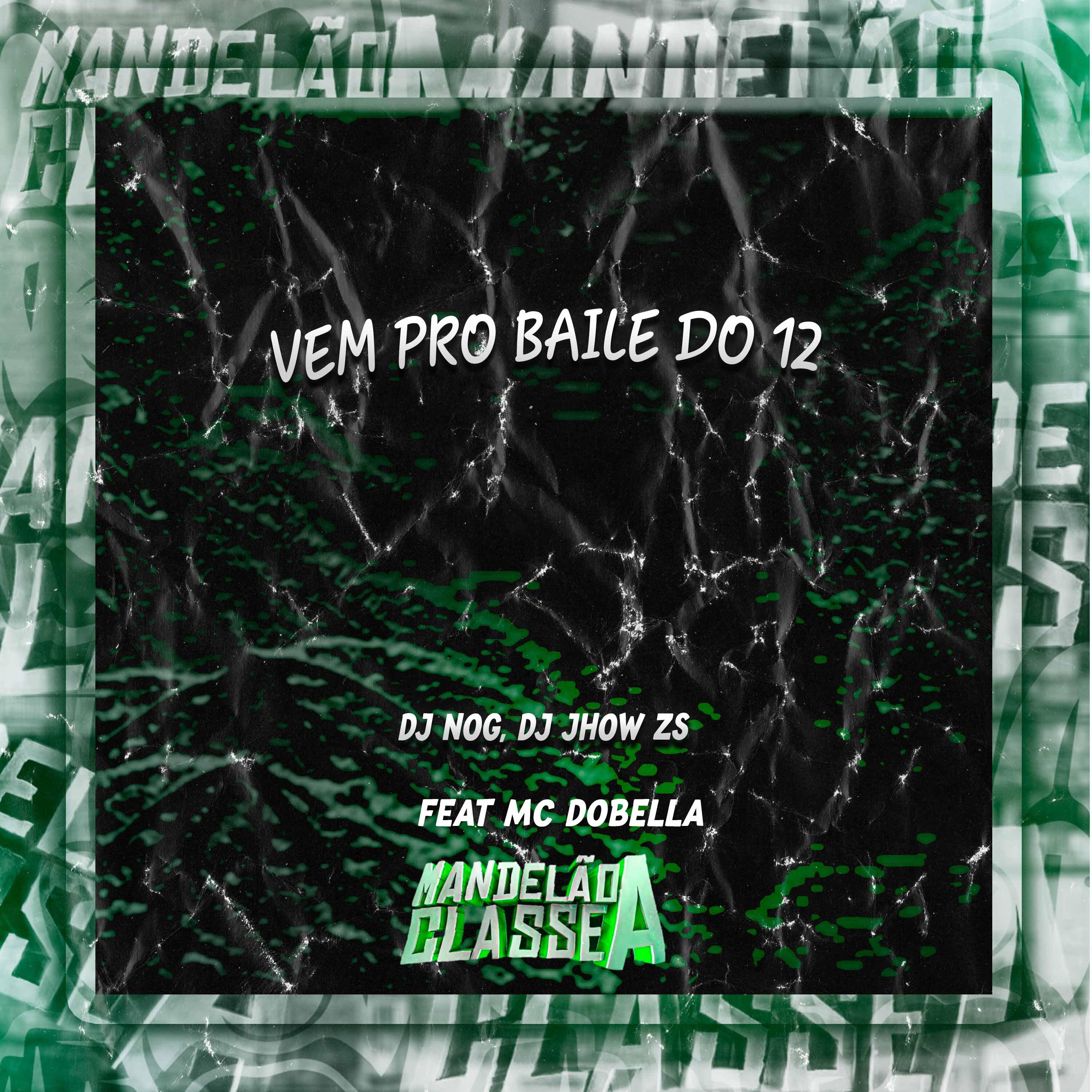 Постер альбома Vem pro Baile do 12