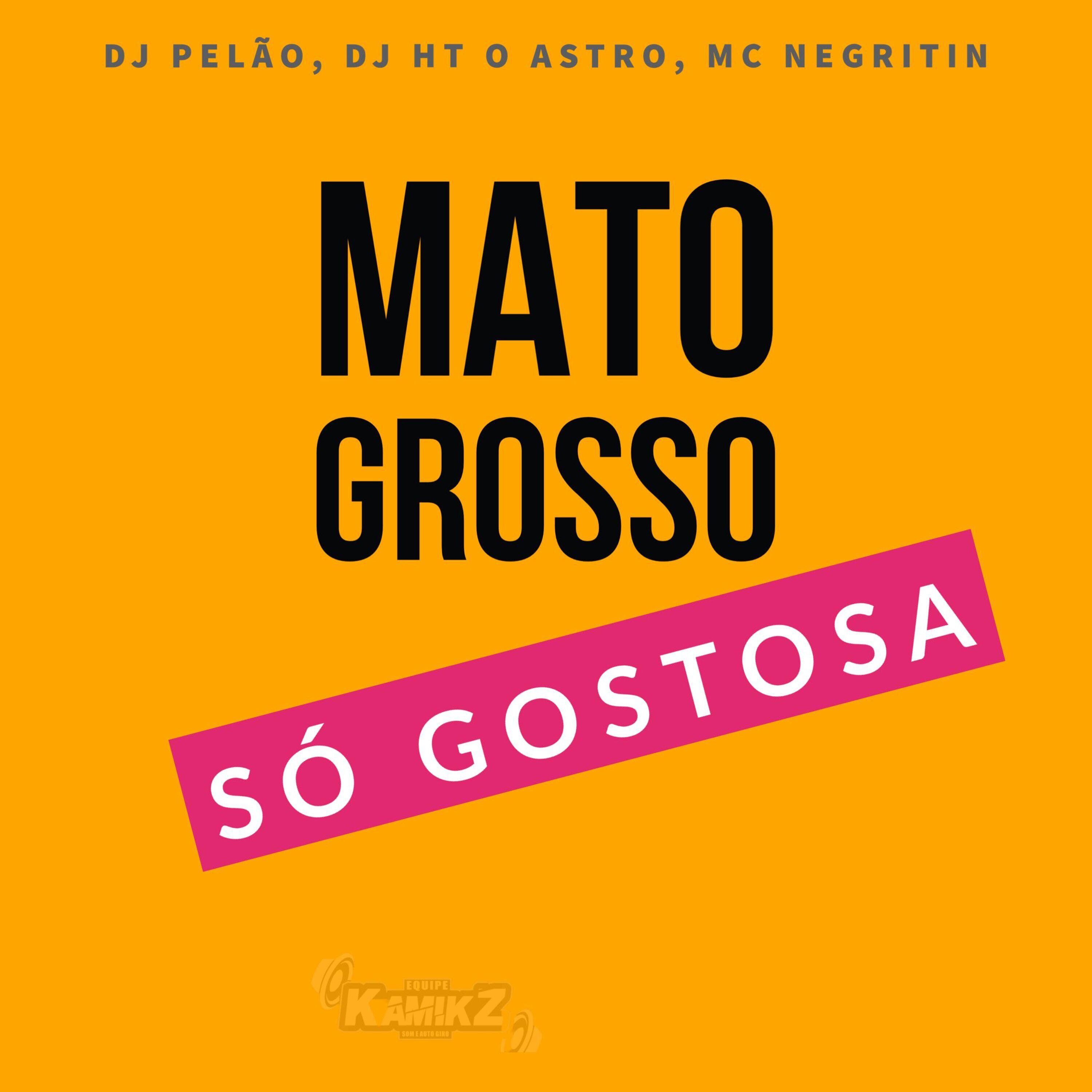 Постер альбома Mato Grosso Só Gostosa