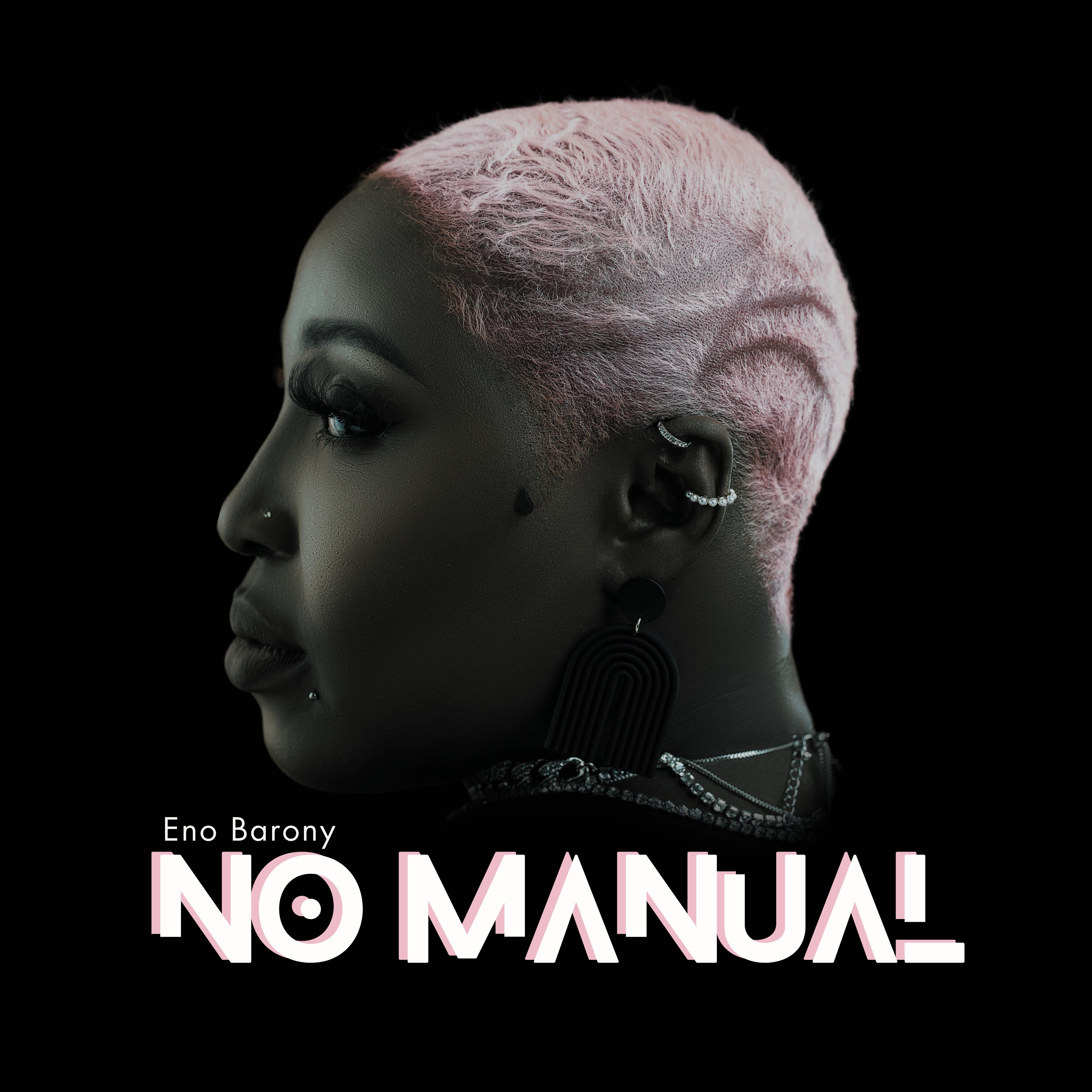 Постер альбома No Manual