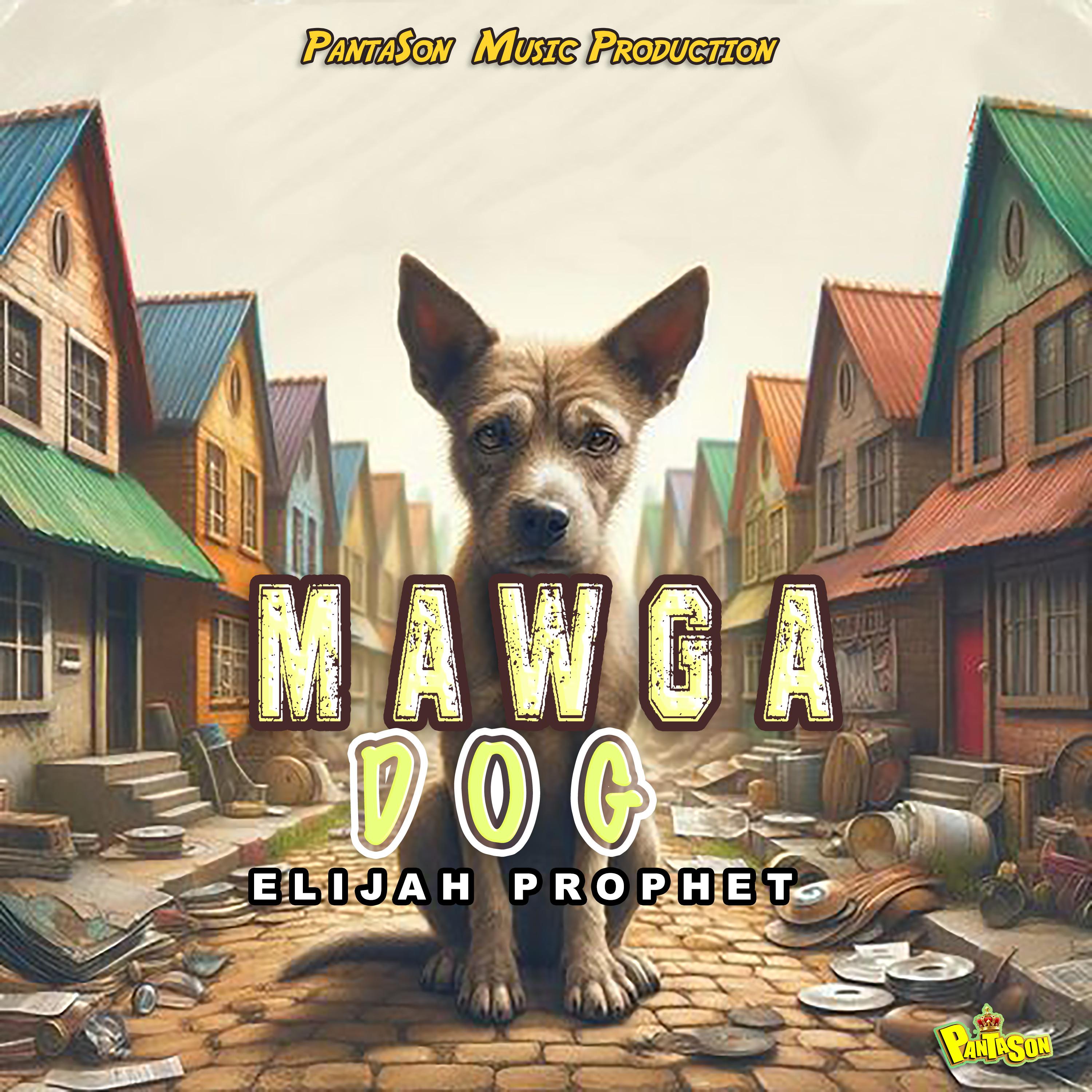 Постер альбома Mawga Dog