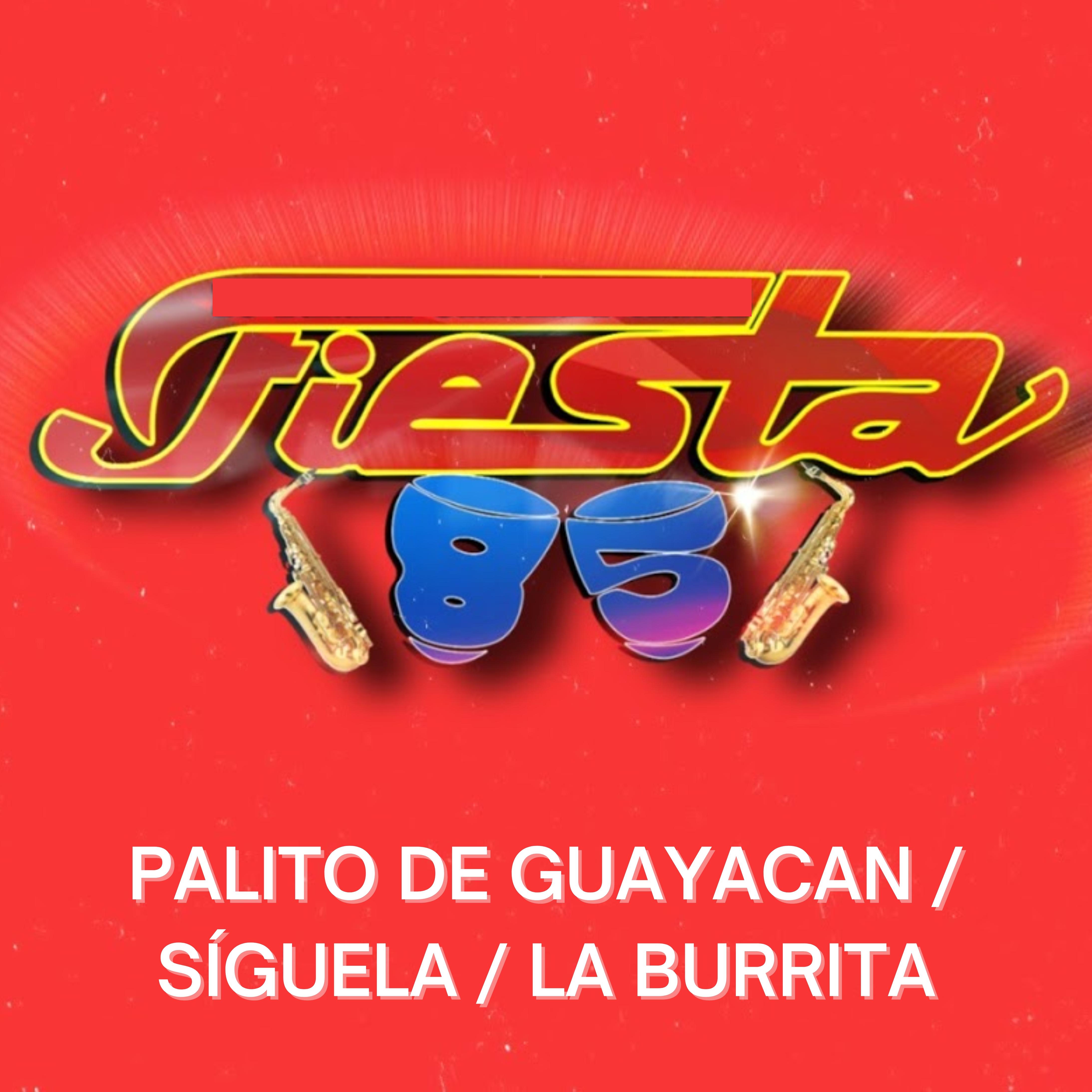 Постер альбома Palito de Guayacan / Síguela / La Burrita