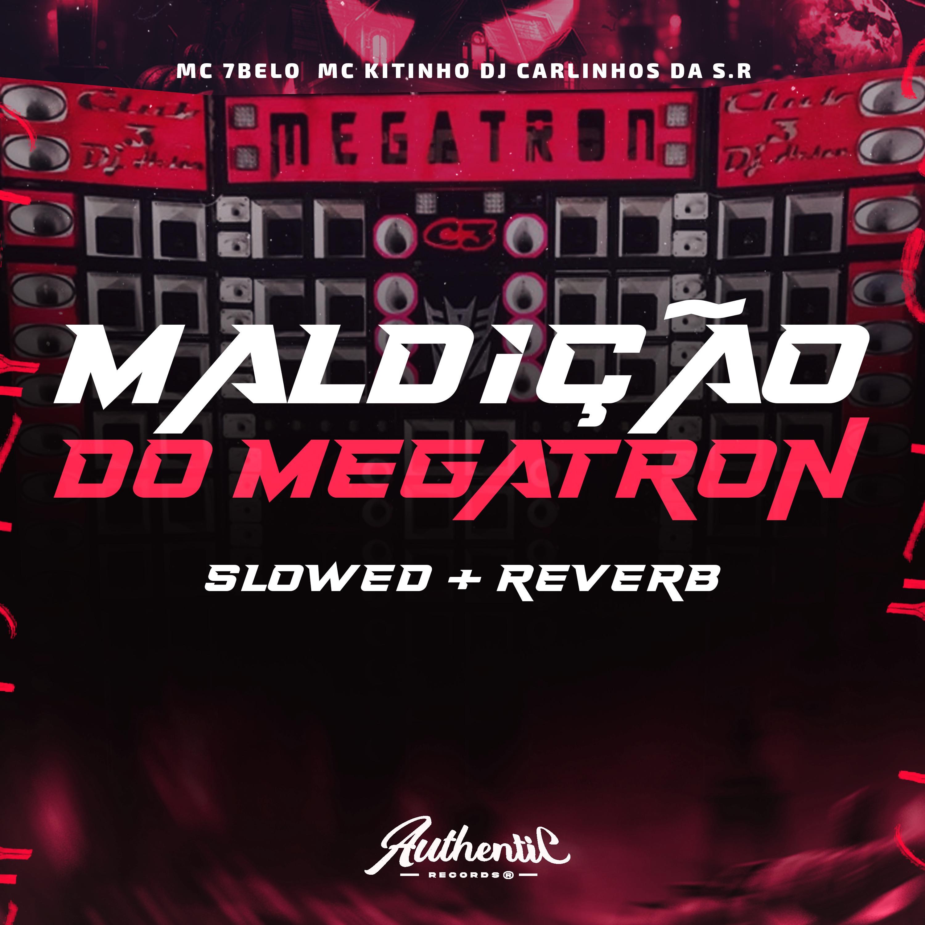 Постер альбома Maldição do Megatron (Slowed + Reverb)