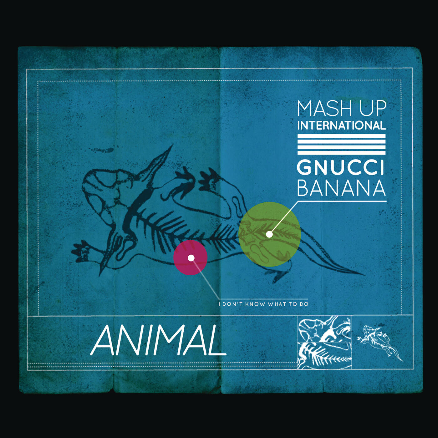 Mash Up International - Animal feat. Gnucci Banana (Extended Version)