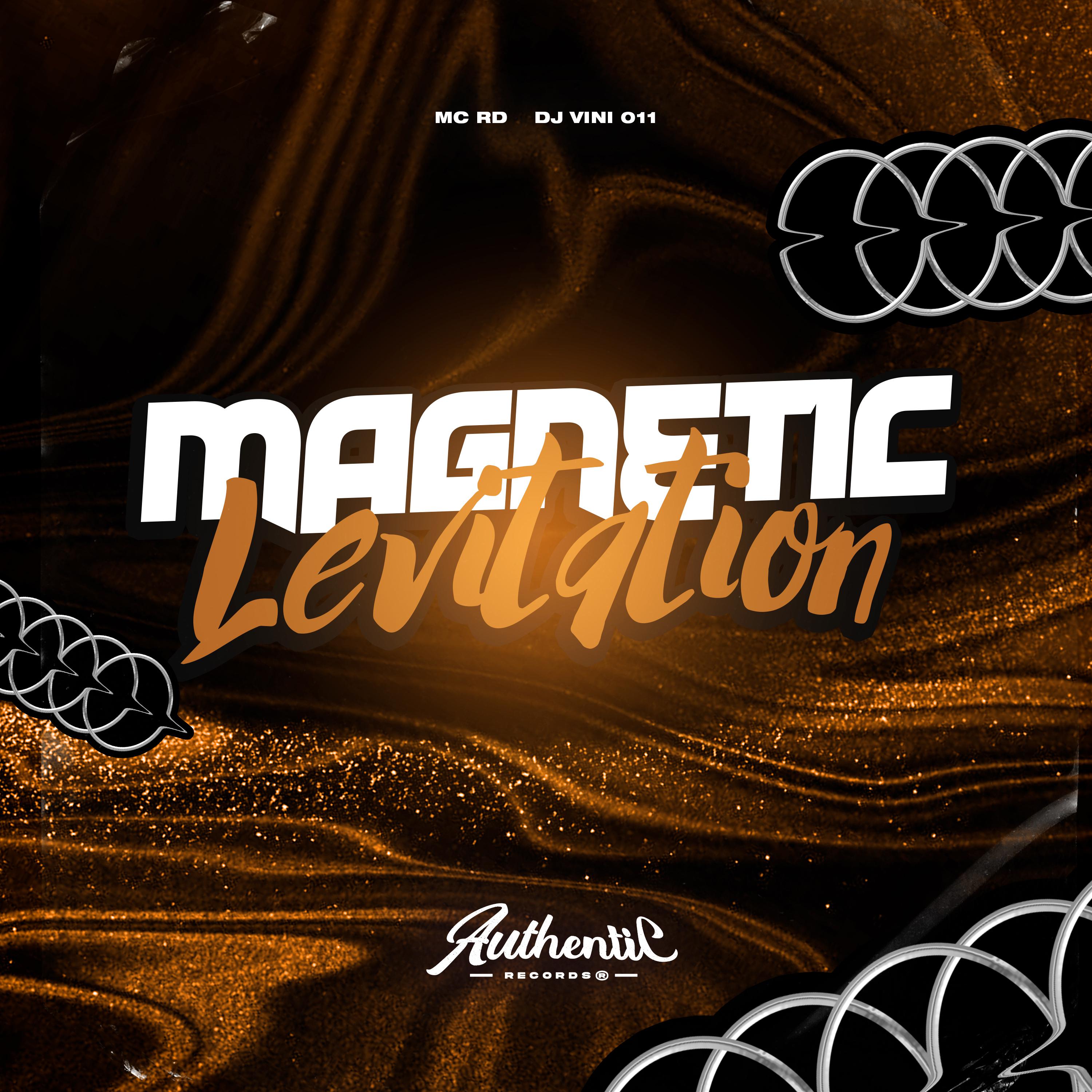 Постер альбома Magnetic Levitation