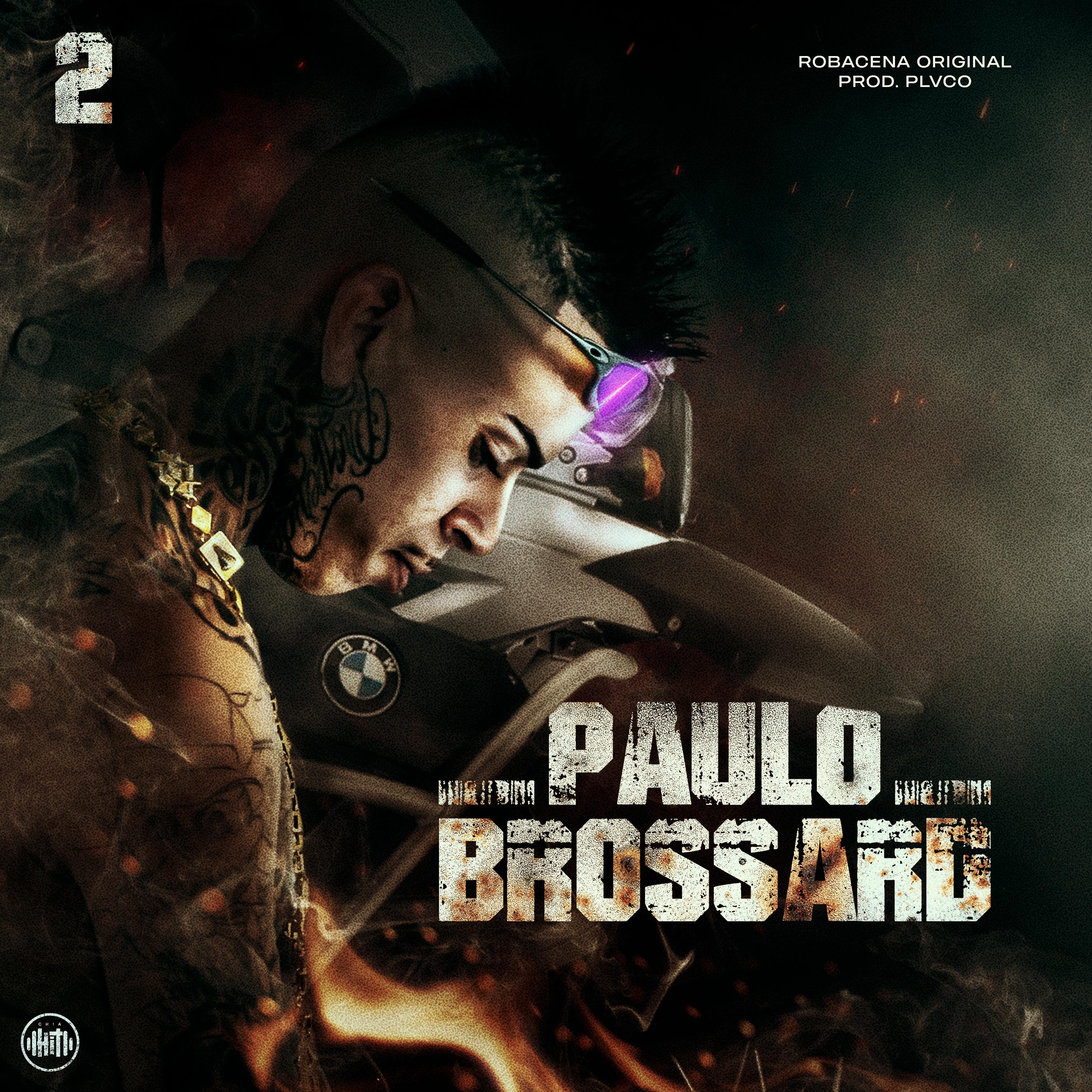 Постер альбома Paulo Brossard 2