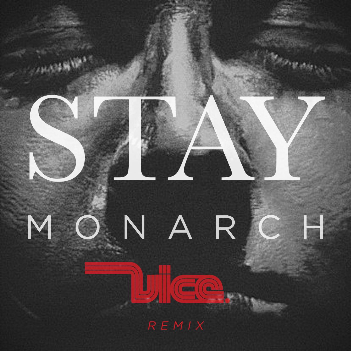 Постер альбома Stay (Vice Remix)