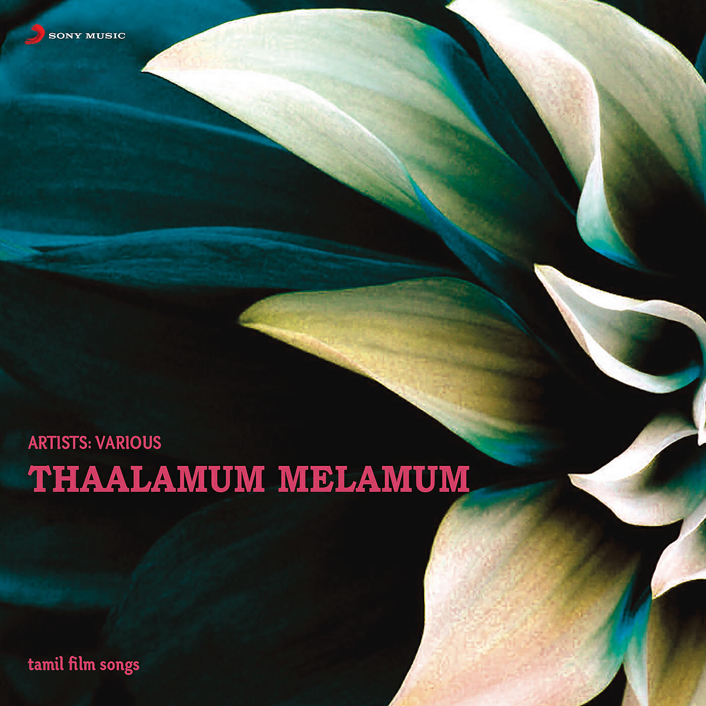 S.P. Balasubrahmanyam - Malar Killi Killi (From 