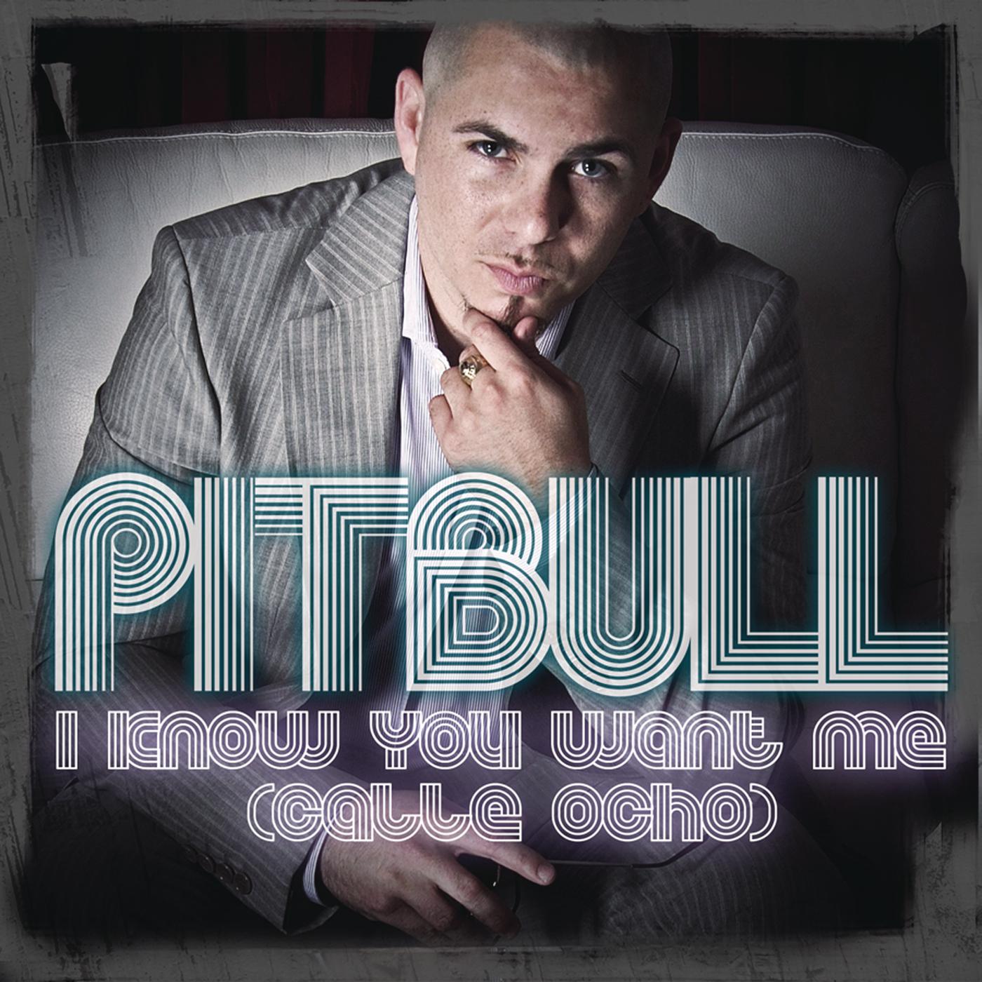 Pitbull - I Know You Want Me (Calle Ocho) (Radio Edit)