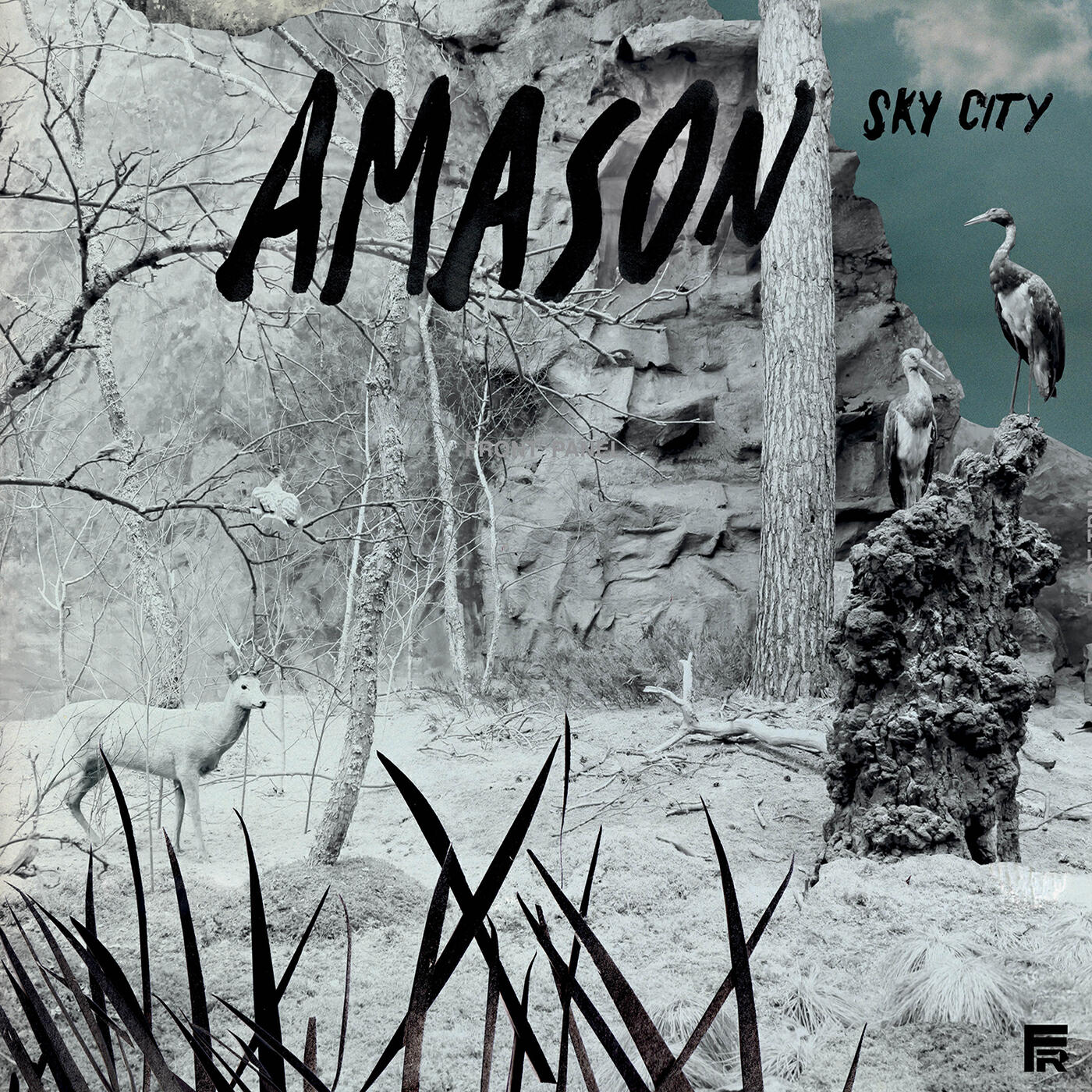 Amason - Blackfish