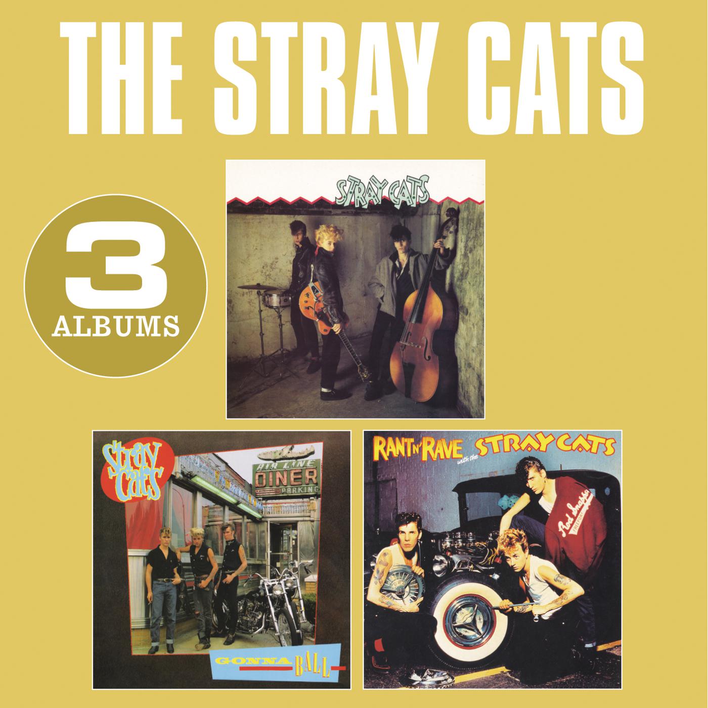 Stray cats ubangi stomp