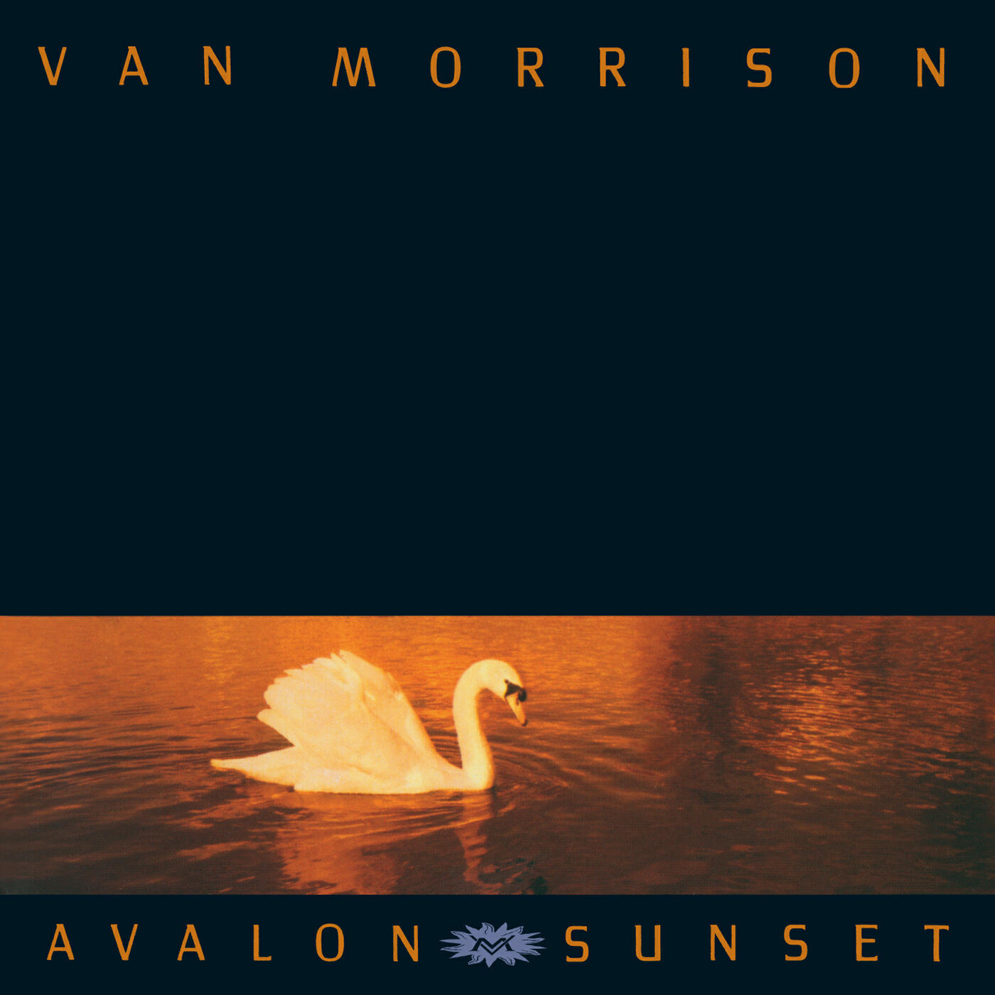 Van Morrison - Whenever God Shines His Light