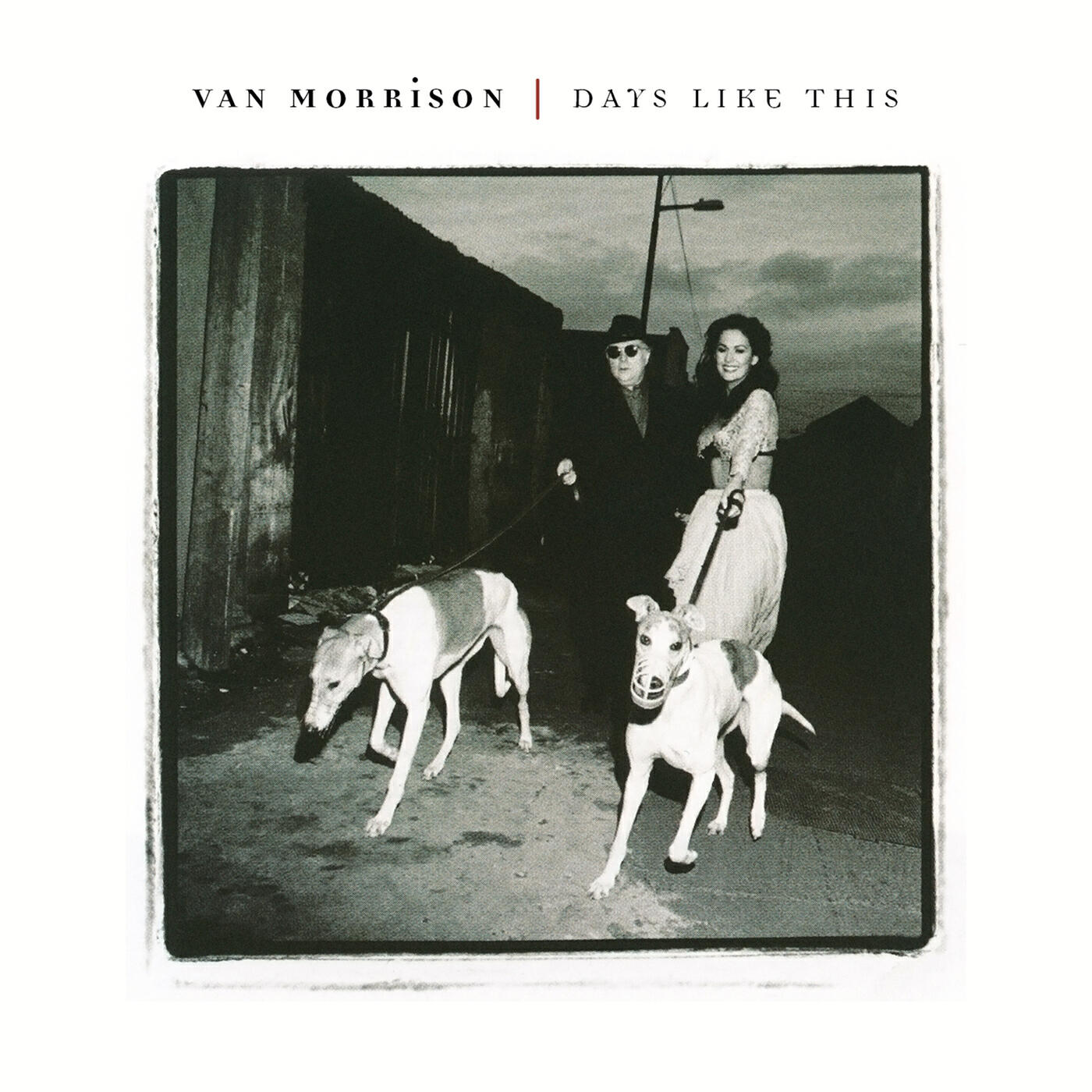 Days like this. 1995. Van Morrison - Days like this (1995 Exile Productions Ltd, 527 307-2, uk). LP Morrison, van: versatile. Van Morrison's 