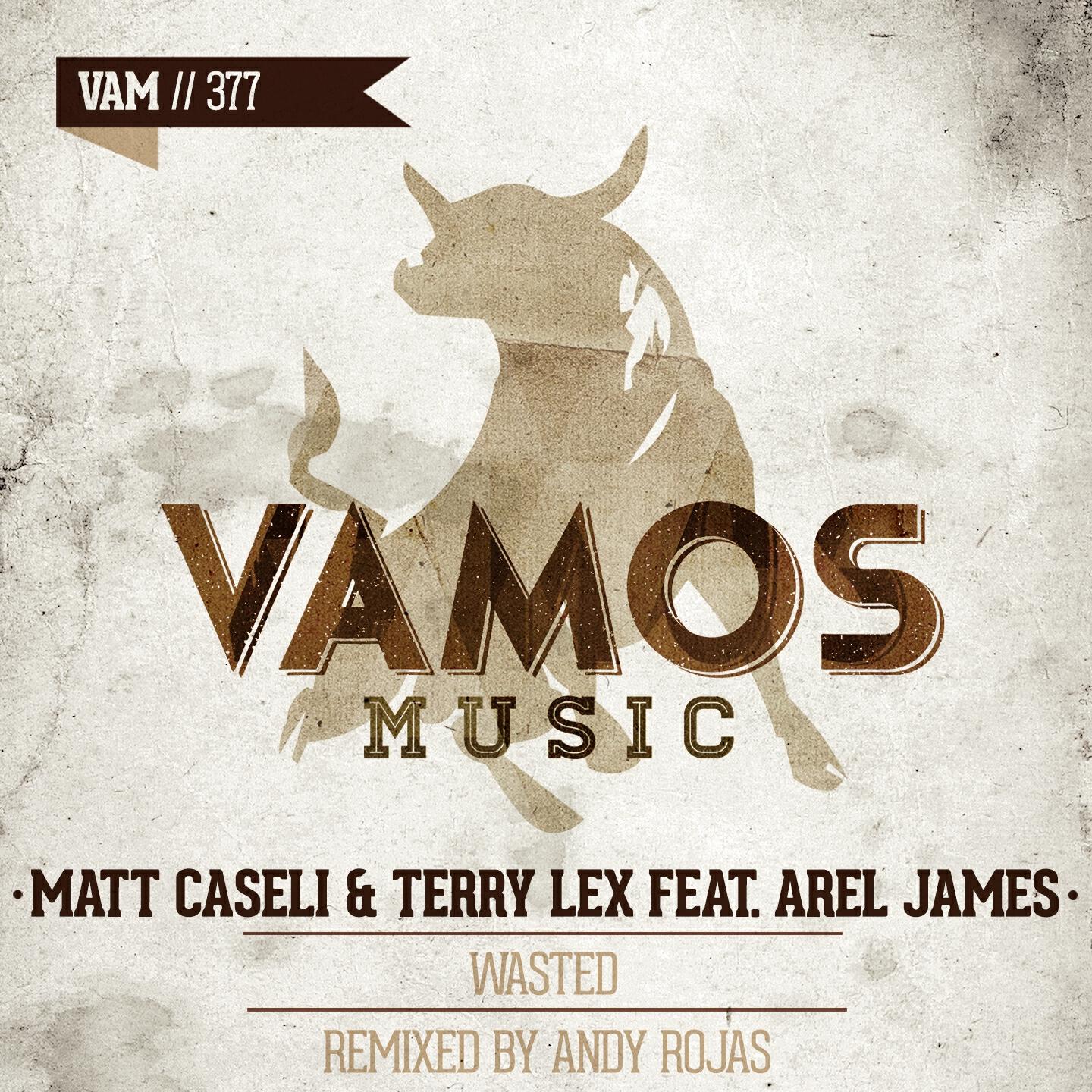Matt Caseli - Wasted (Andy Rojas Remix)
