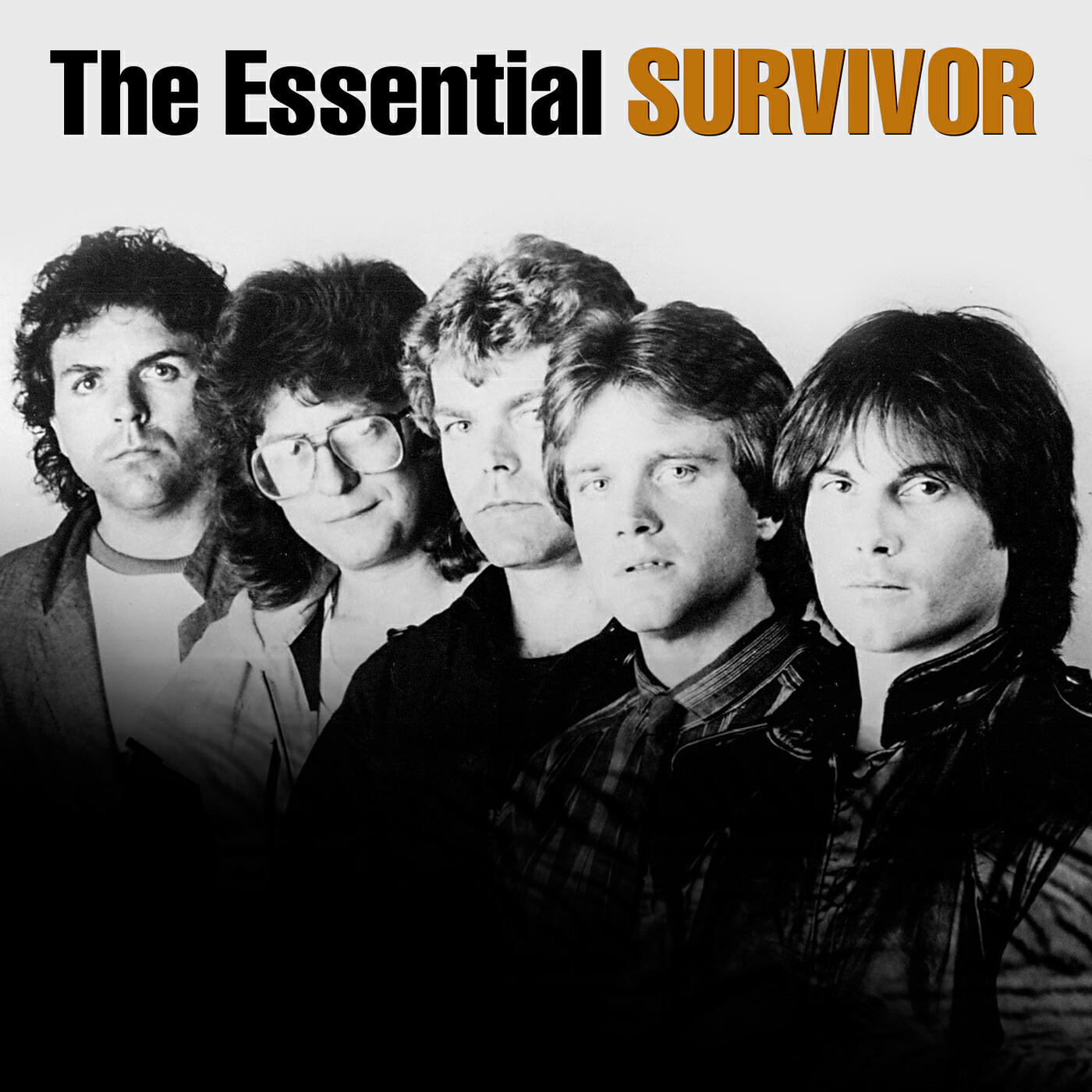 Survivor - High on You