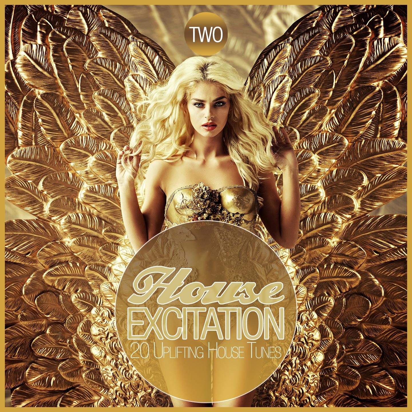 Постер альбома House Excitation Two - 20 Uplifting House Tunes