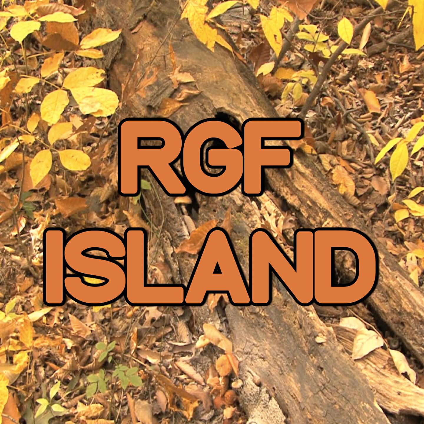 Swift Hits - RGF Island - Tribute to Fetty Wap