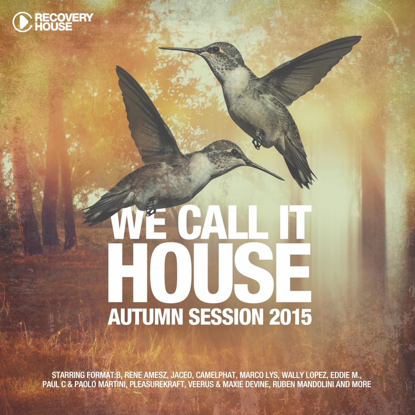 Постер альбома We Call It House - Autumn Session 2015