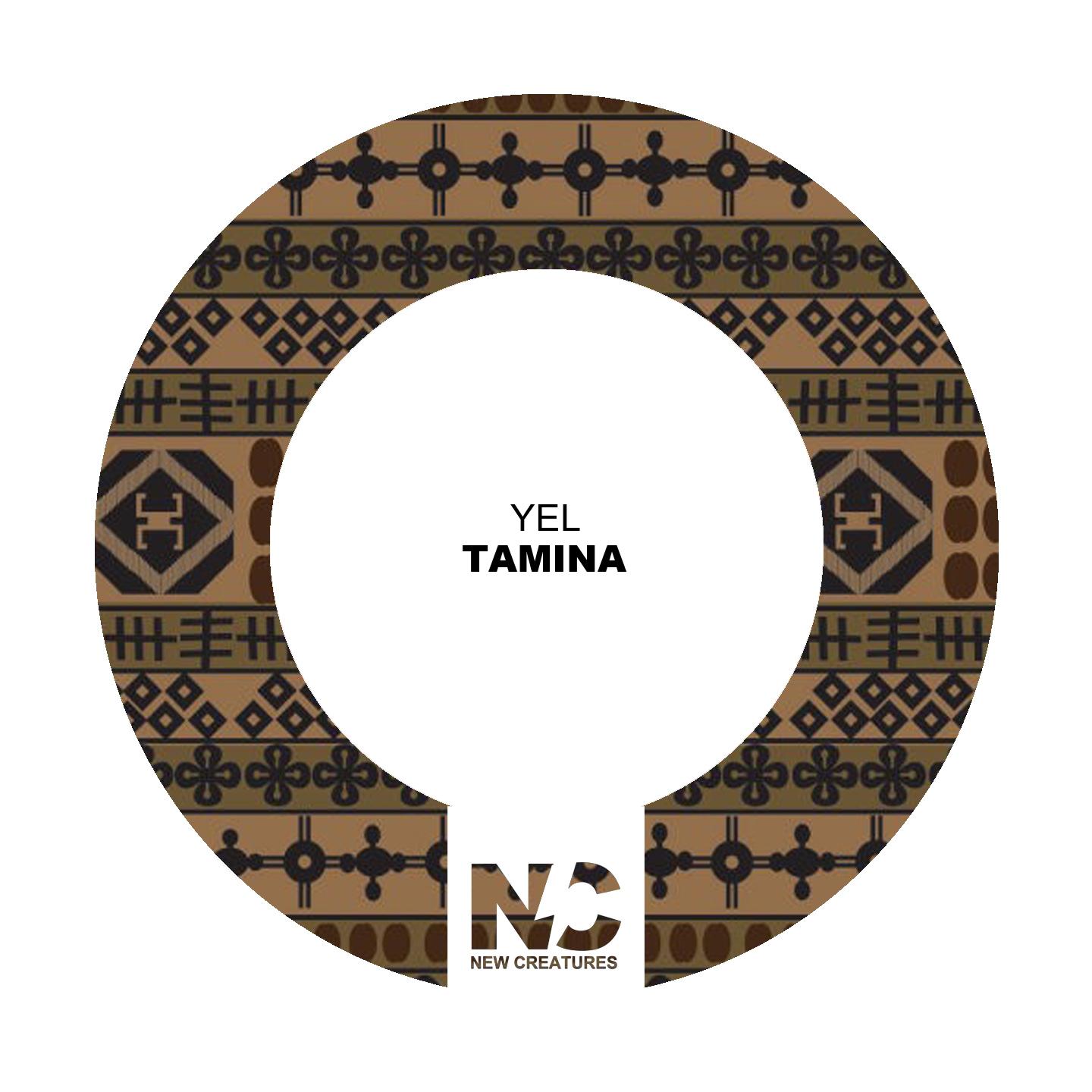 Постер альбома Tamina