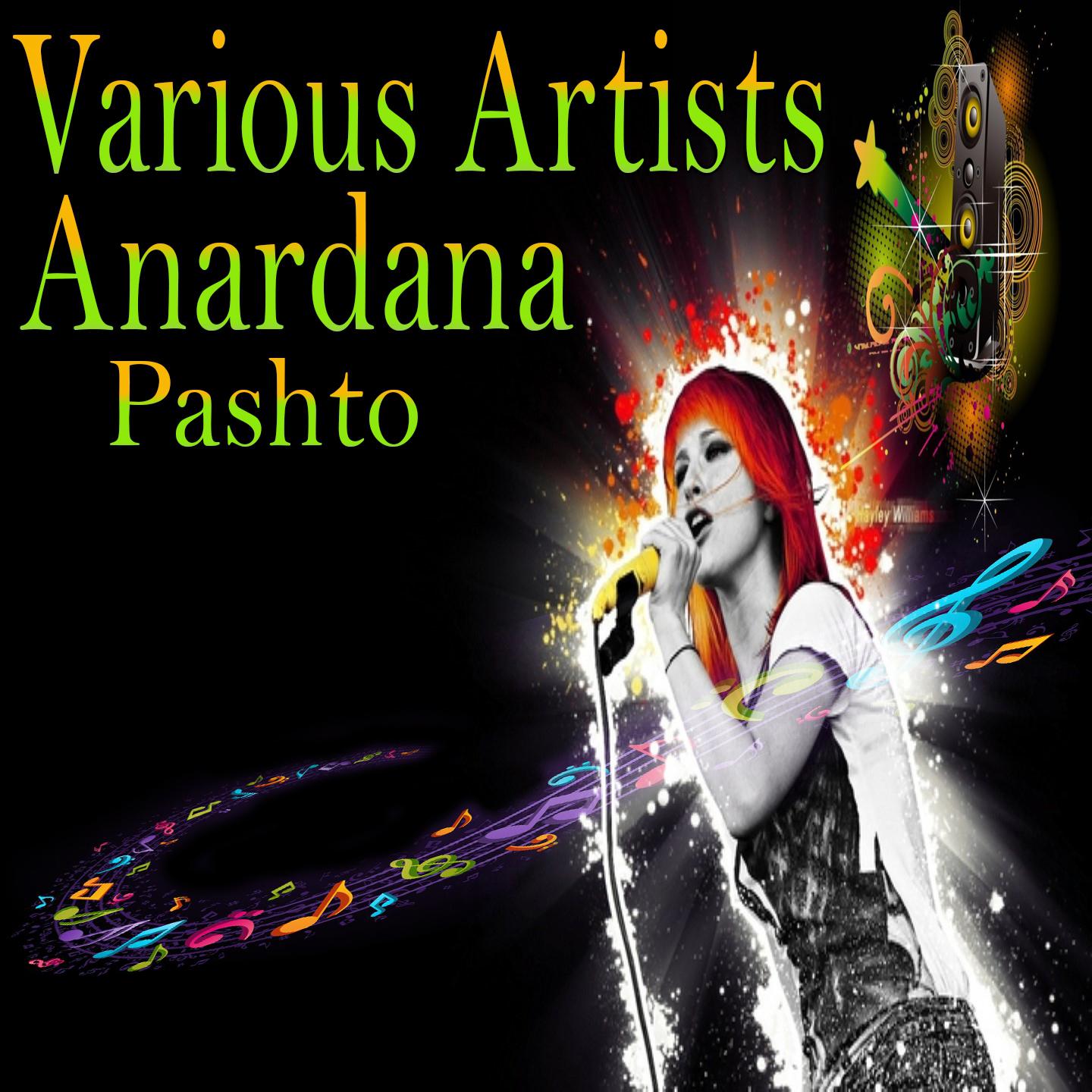 Постер альбома Anardana, Vol. 2