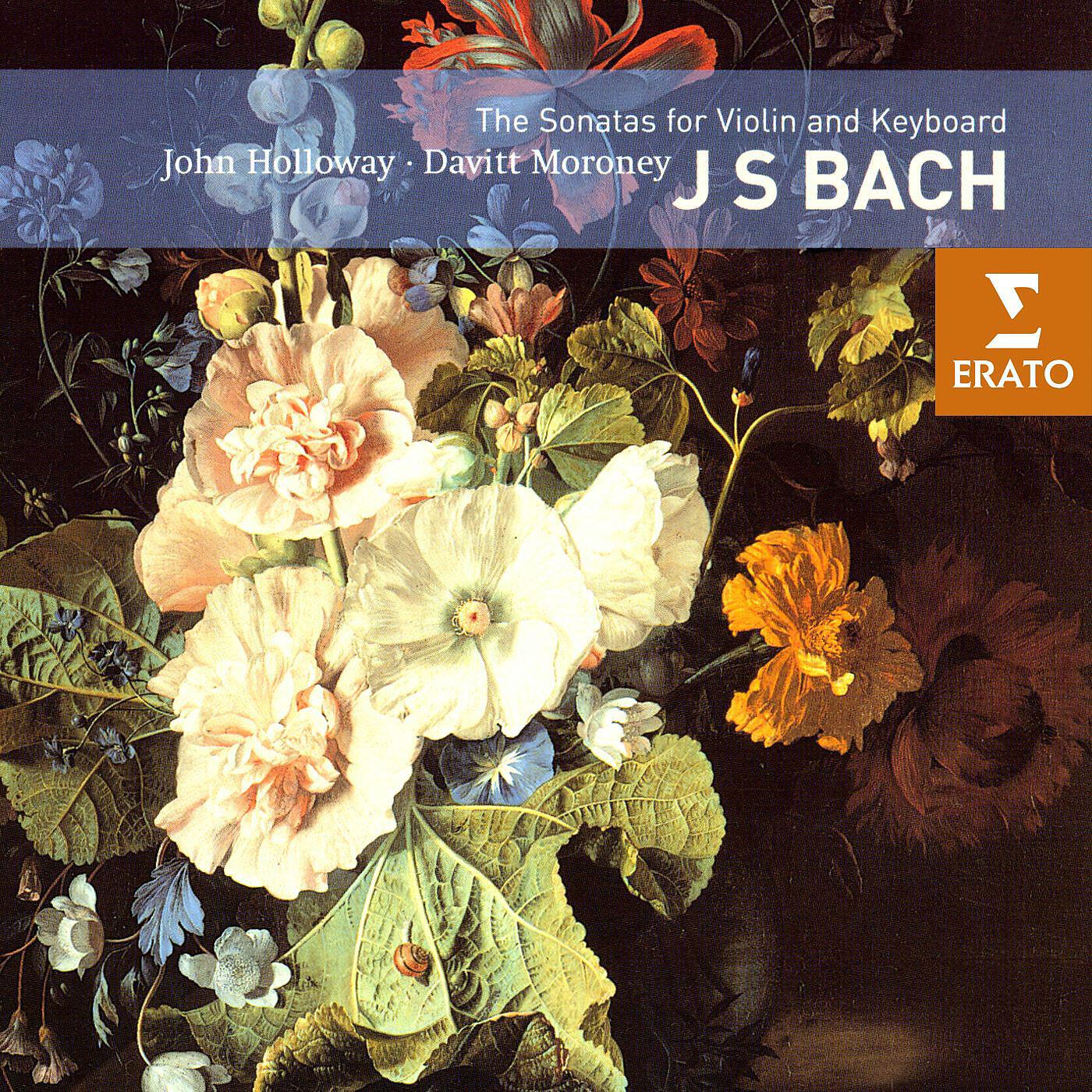 John Holloway, Davitt Moroney and Susann Sheppard - Violin Sonata in G Major, BWV 1021: II. Vivace