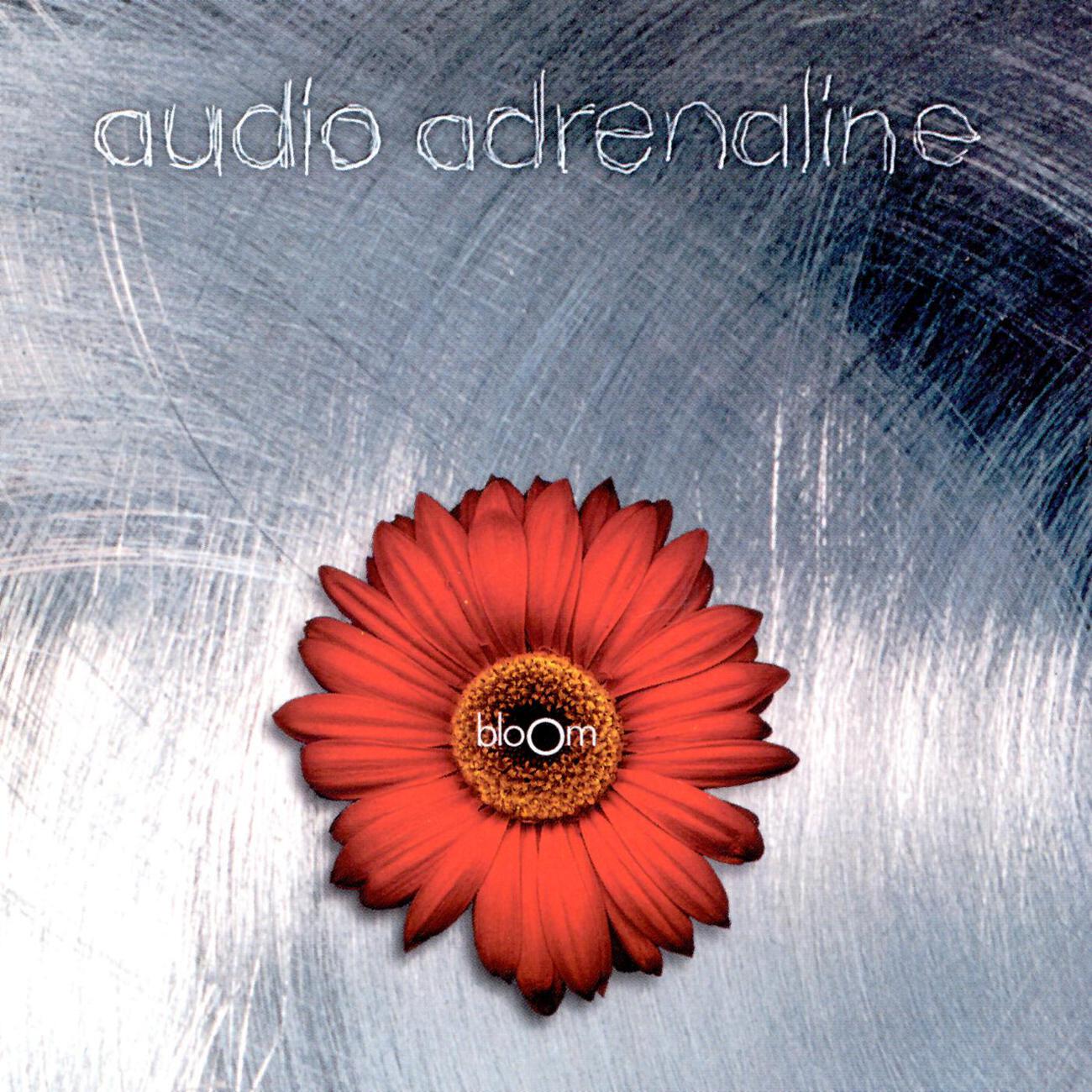 Audio Adrenaline - Man of God