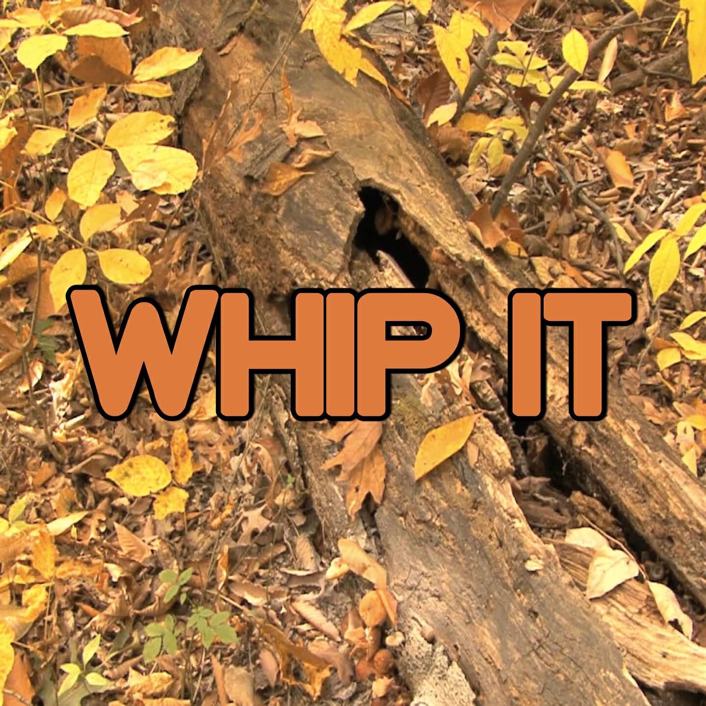 Swift Hits - Whip It! - Tribute to LunchMoney Lewis and Chloe Angelides